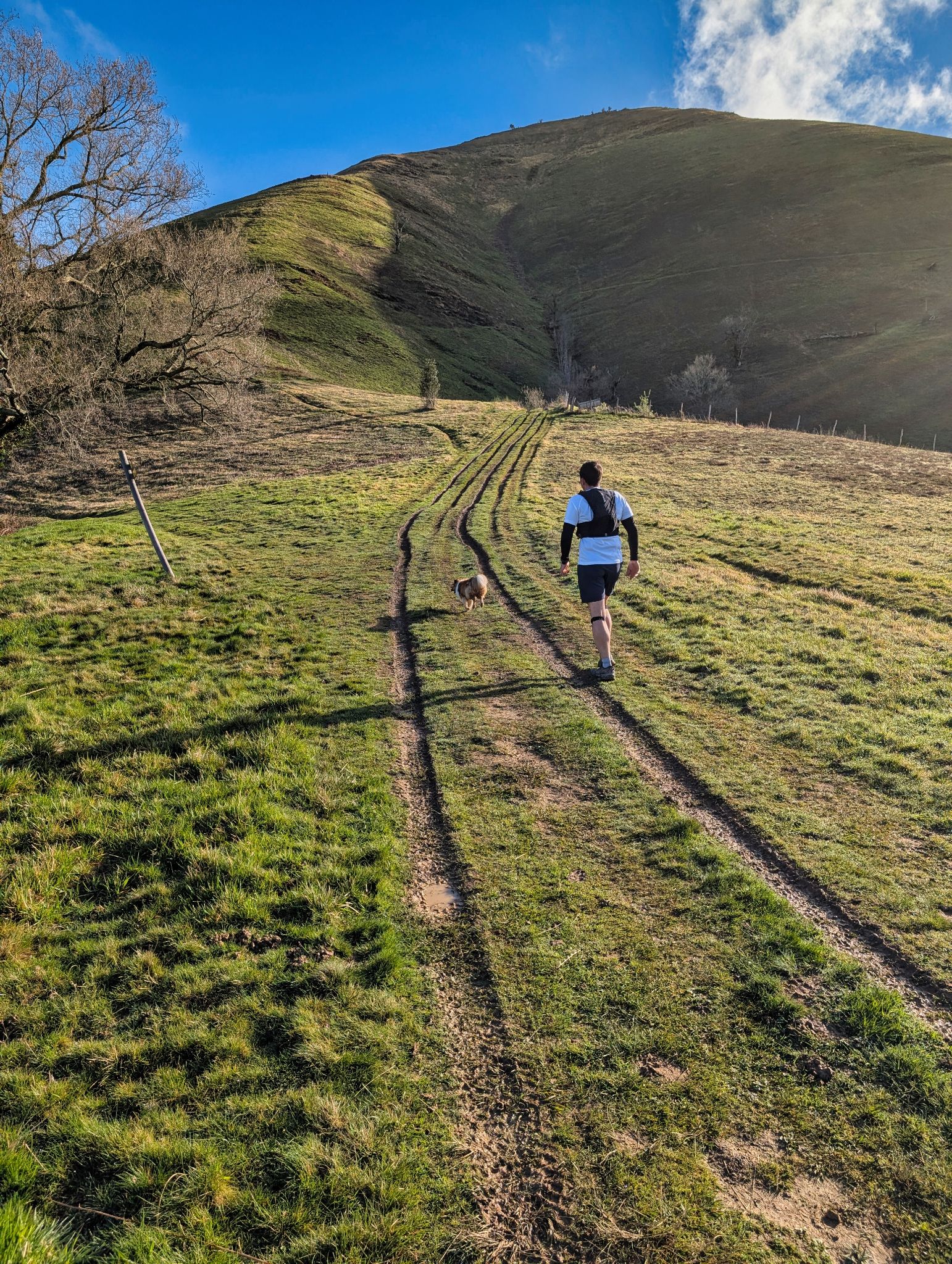 PXL 20250330 074406810