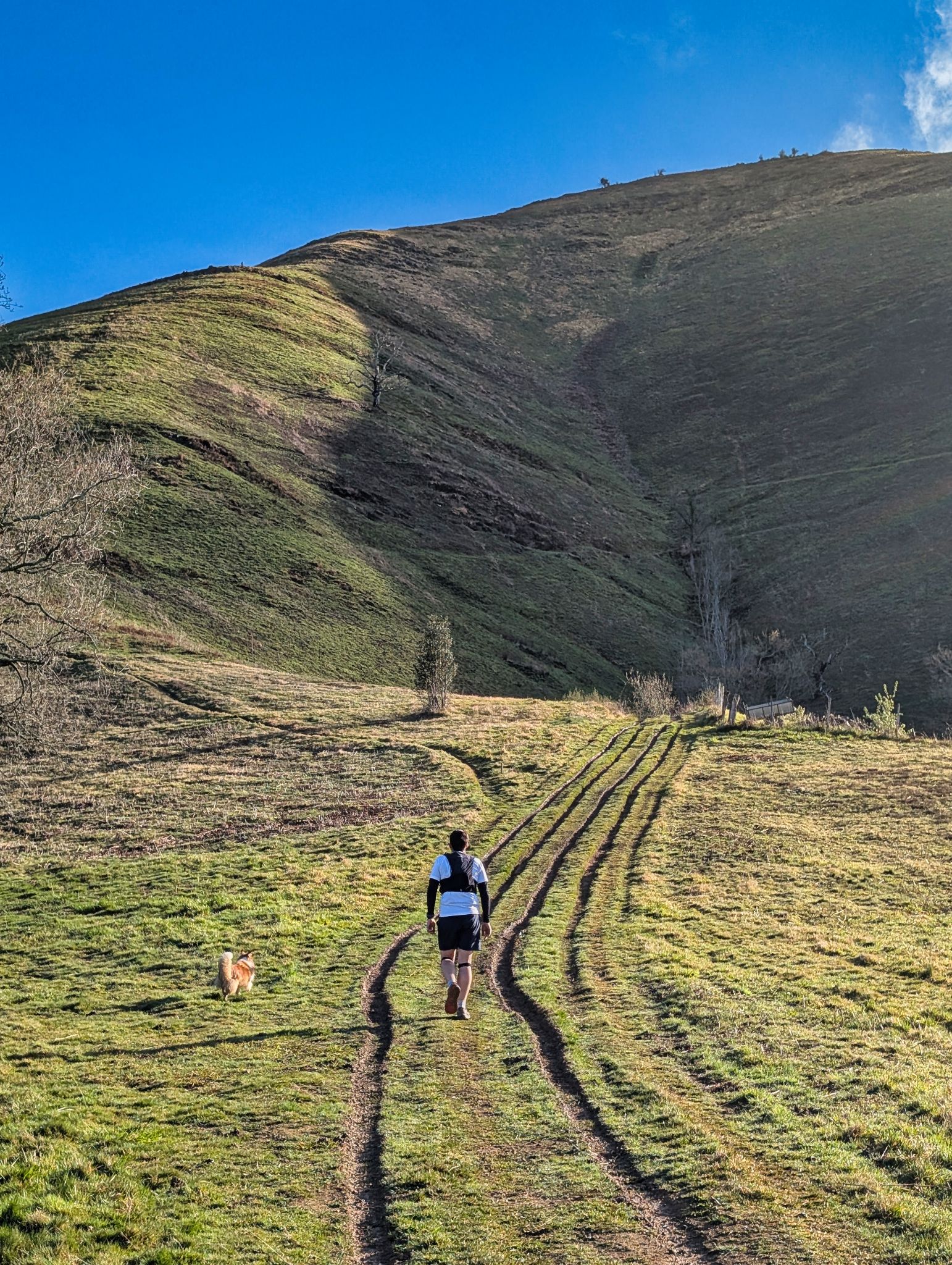 PXL 20250330 074413082