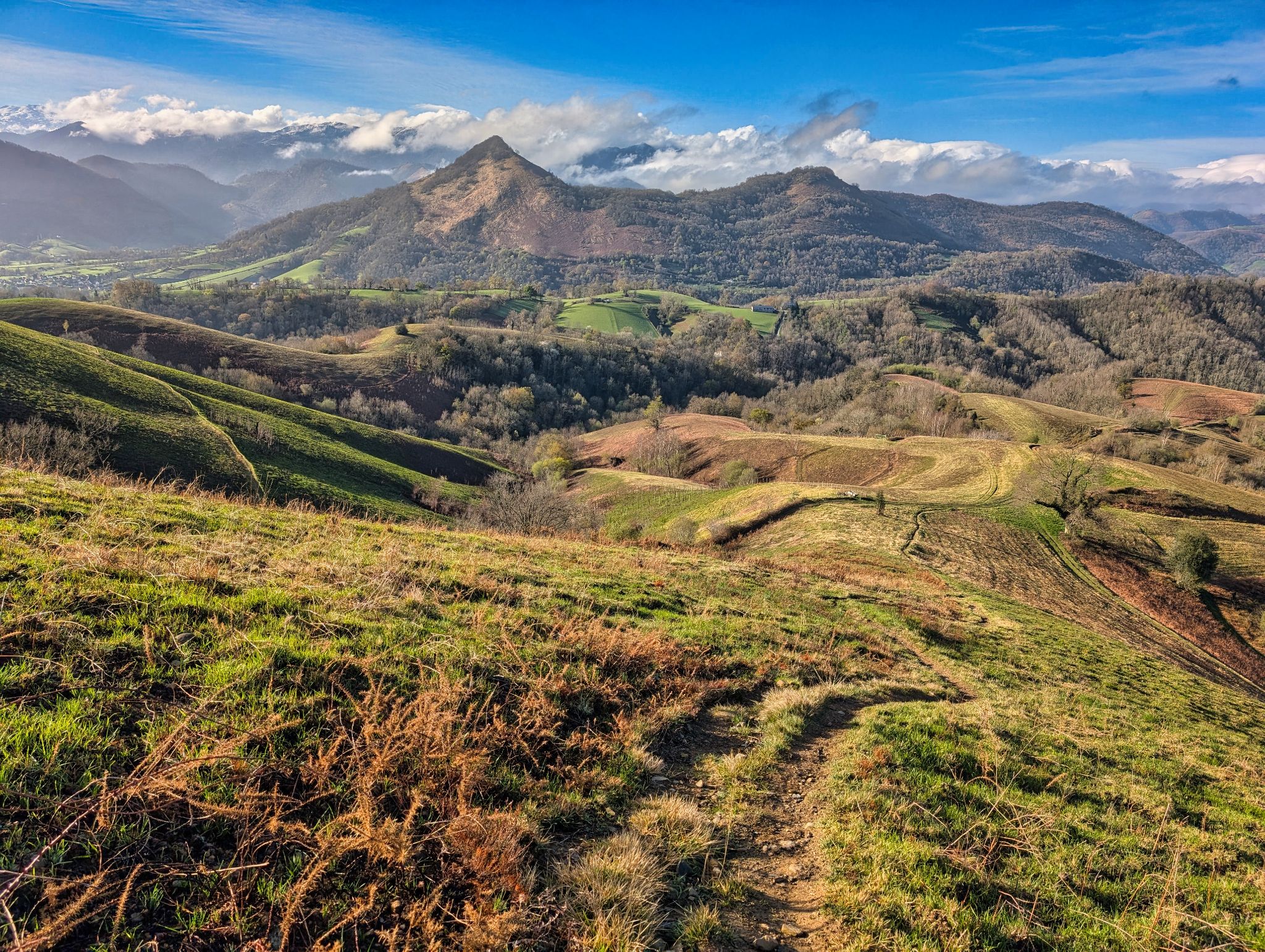 PXL 20250330 075204874