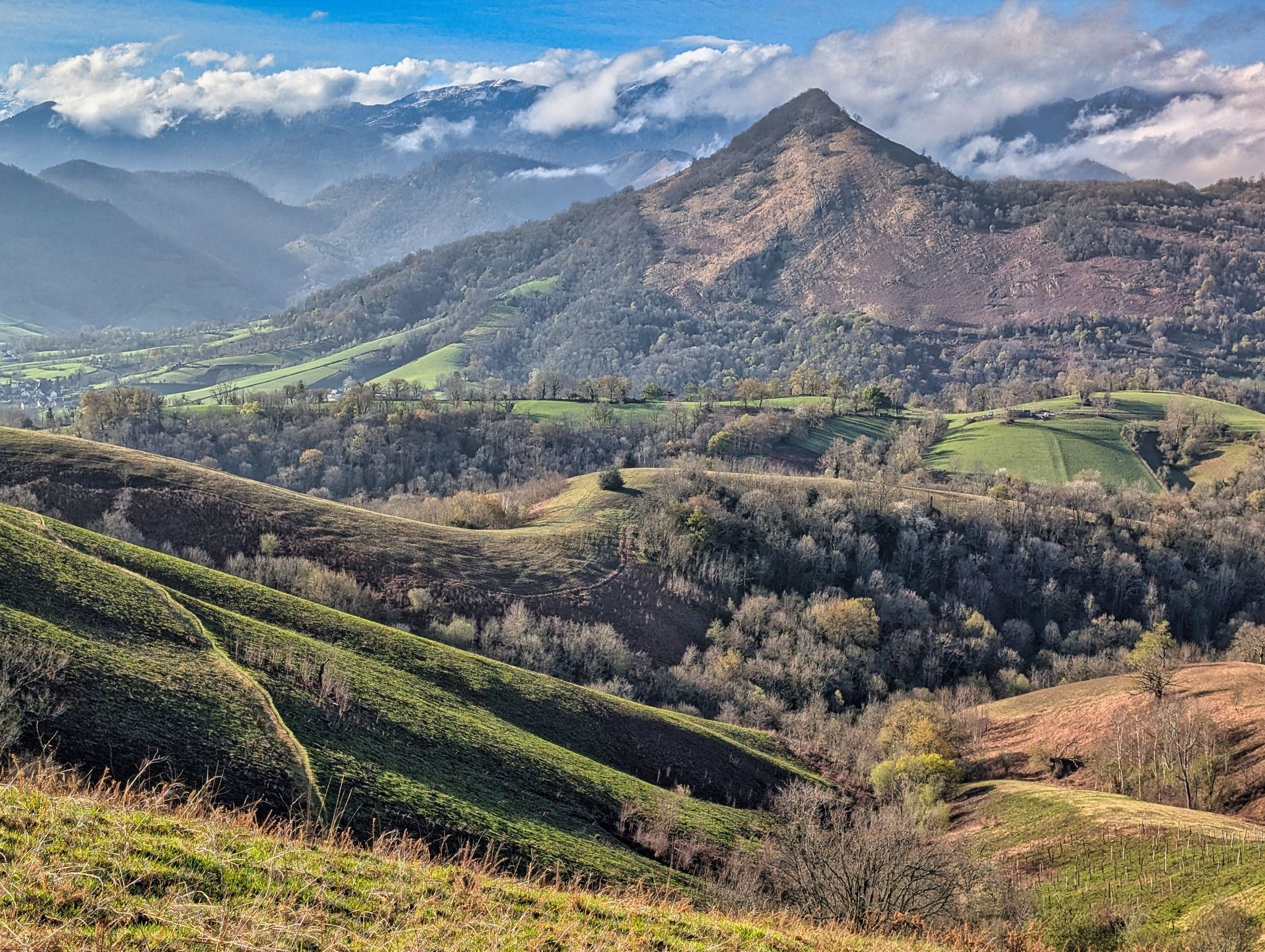 PXL 20250330 075218514