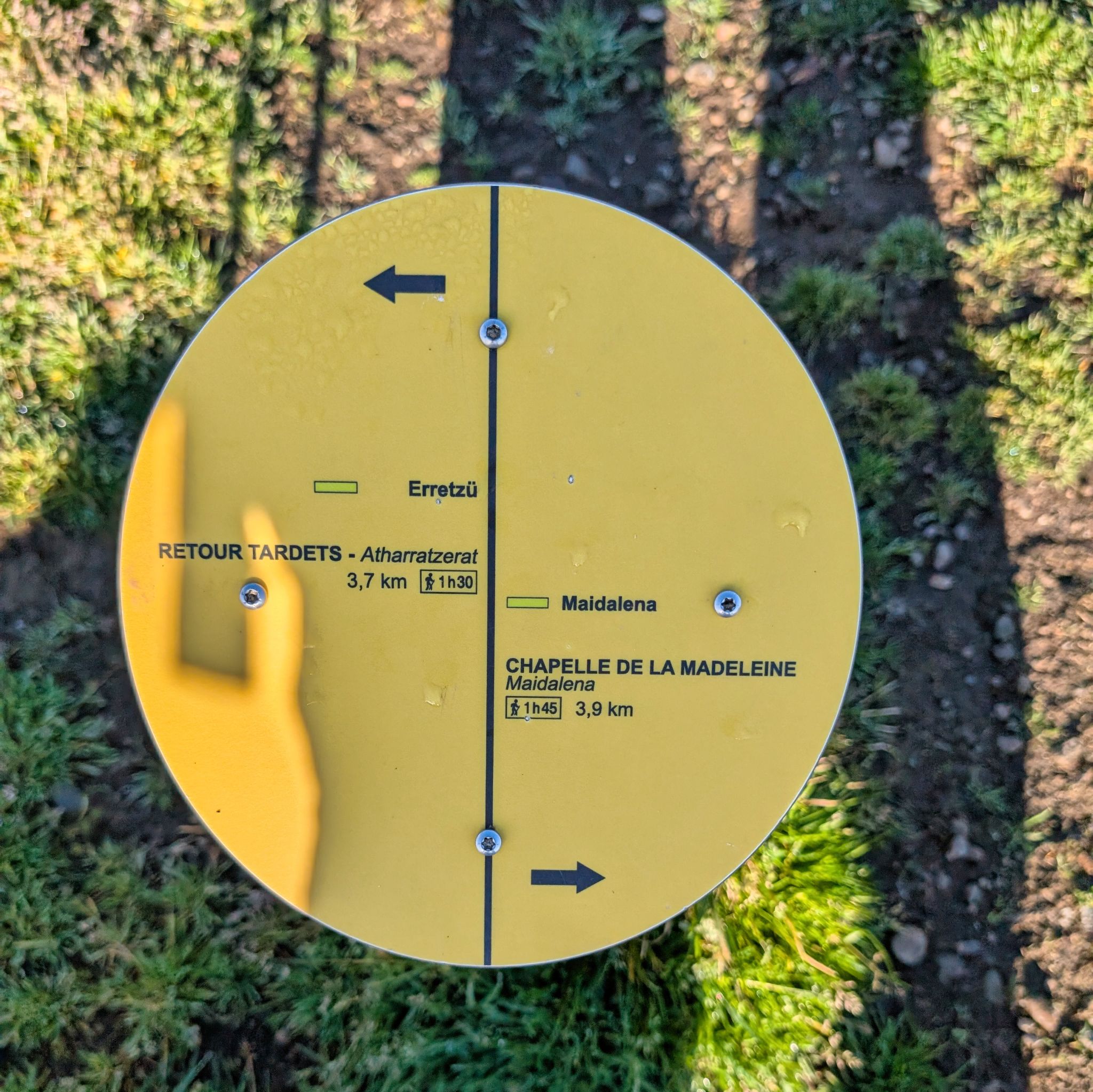 PXL 20250330 082104111