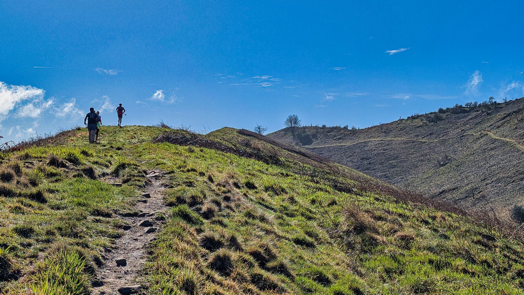 PXL 20250330 084929380