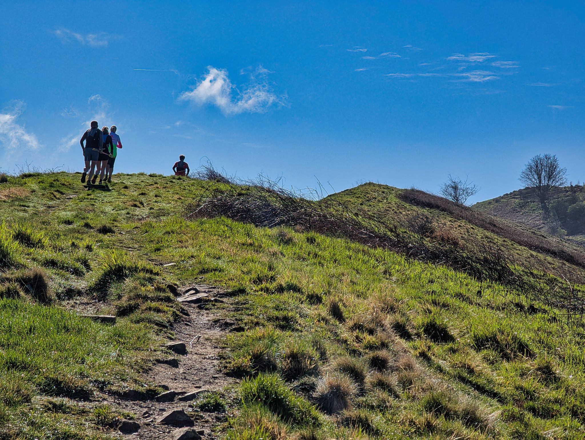 PXL 20250330 084936946