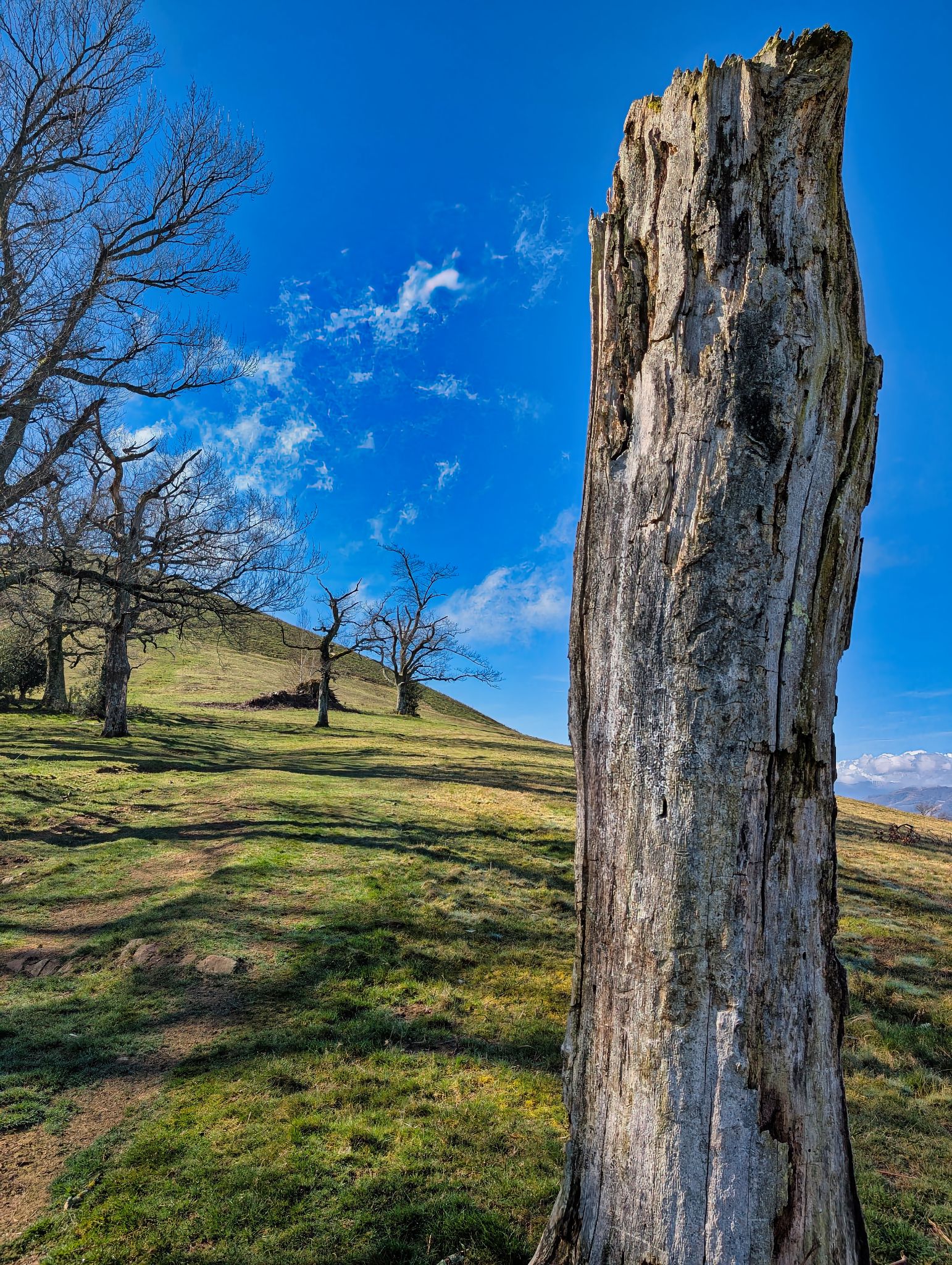 PXL 20250330 090005921