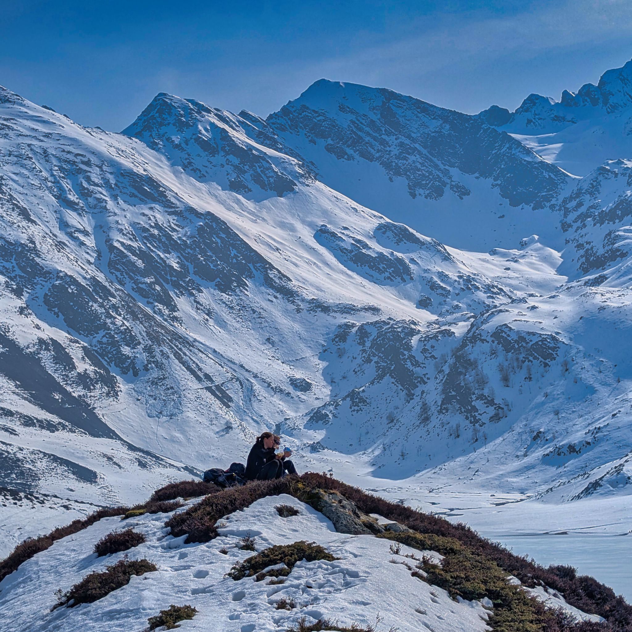 PXL 20250219 114206354