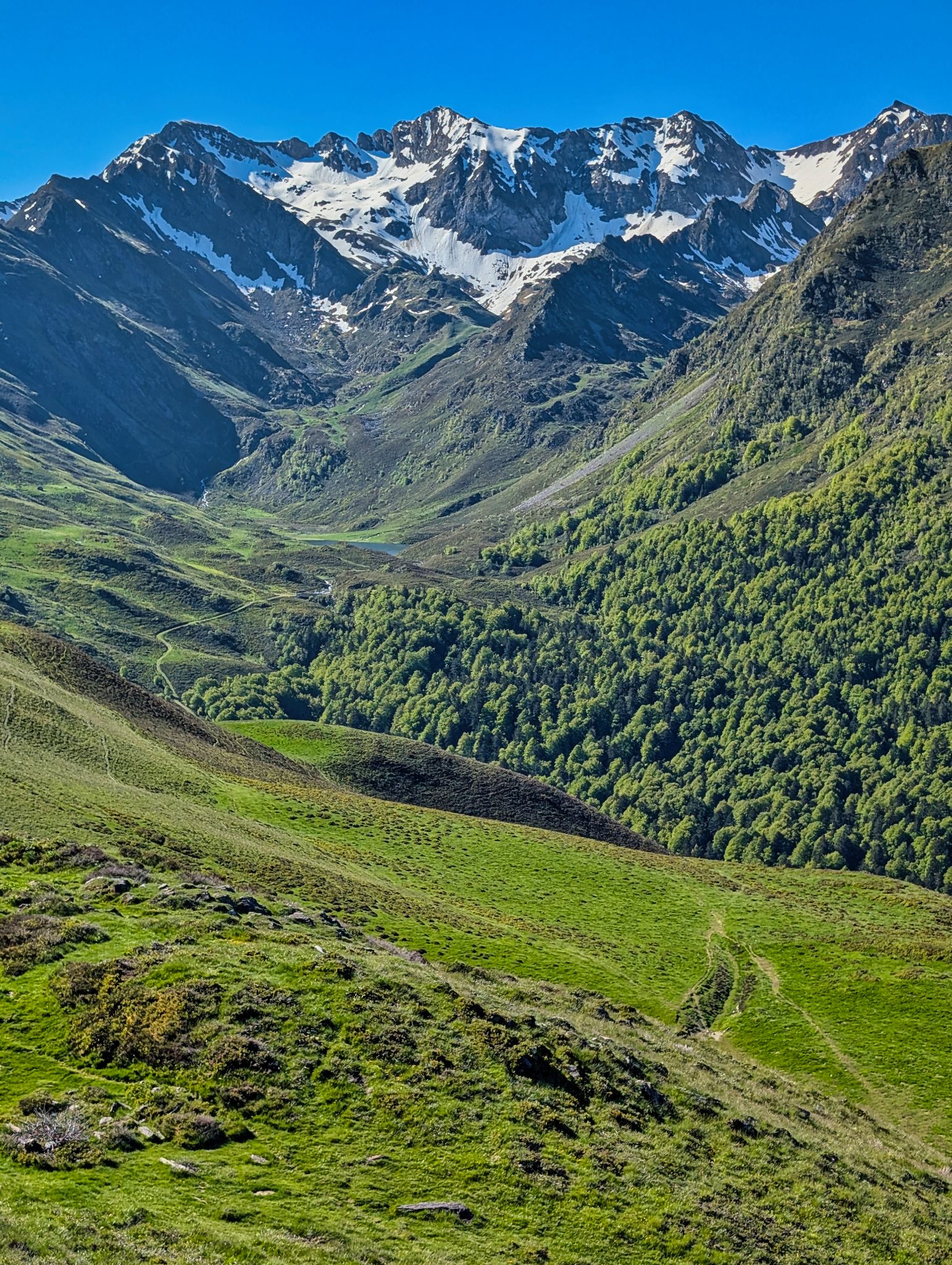 PXL 20250529 074753909