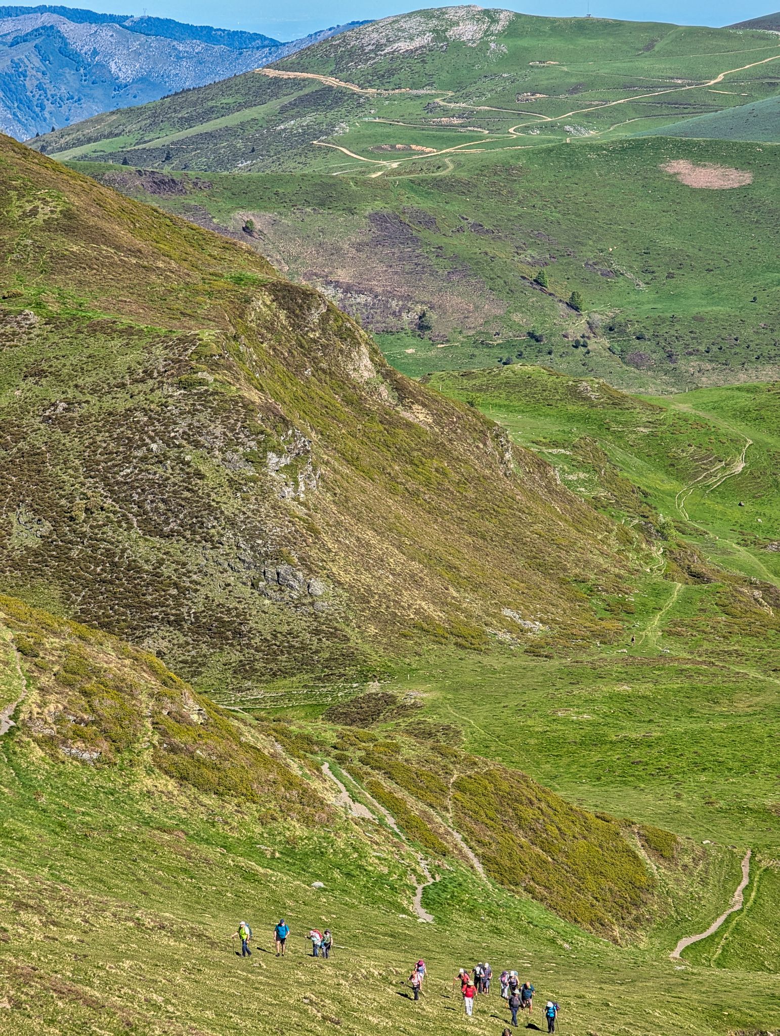 PXL 20250529 082707859