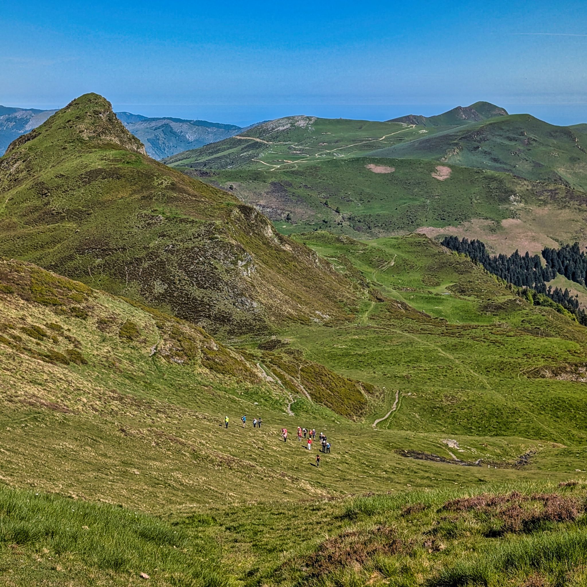 PXL 20250529 082712455