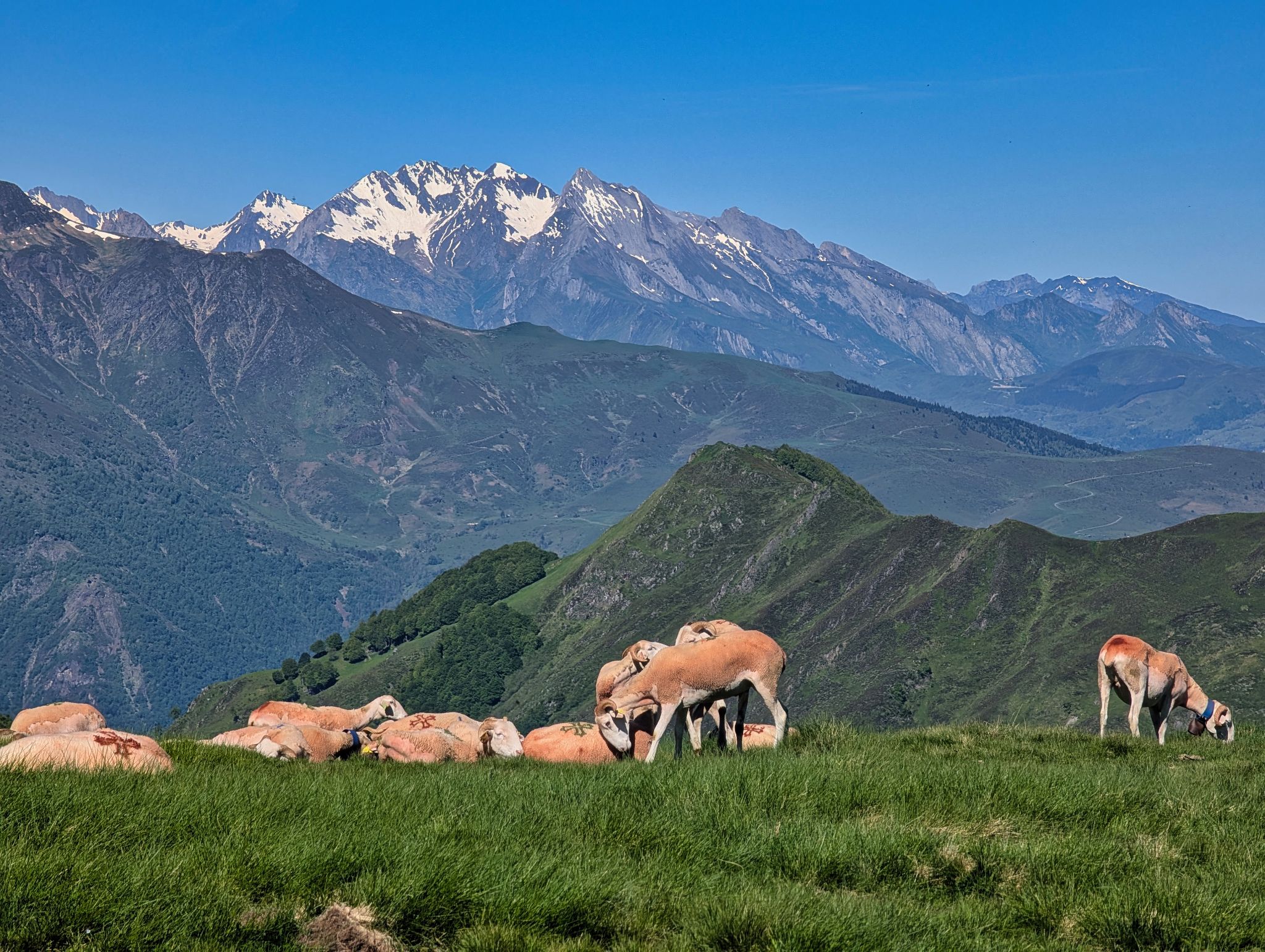 PXL 20250529 083632228