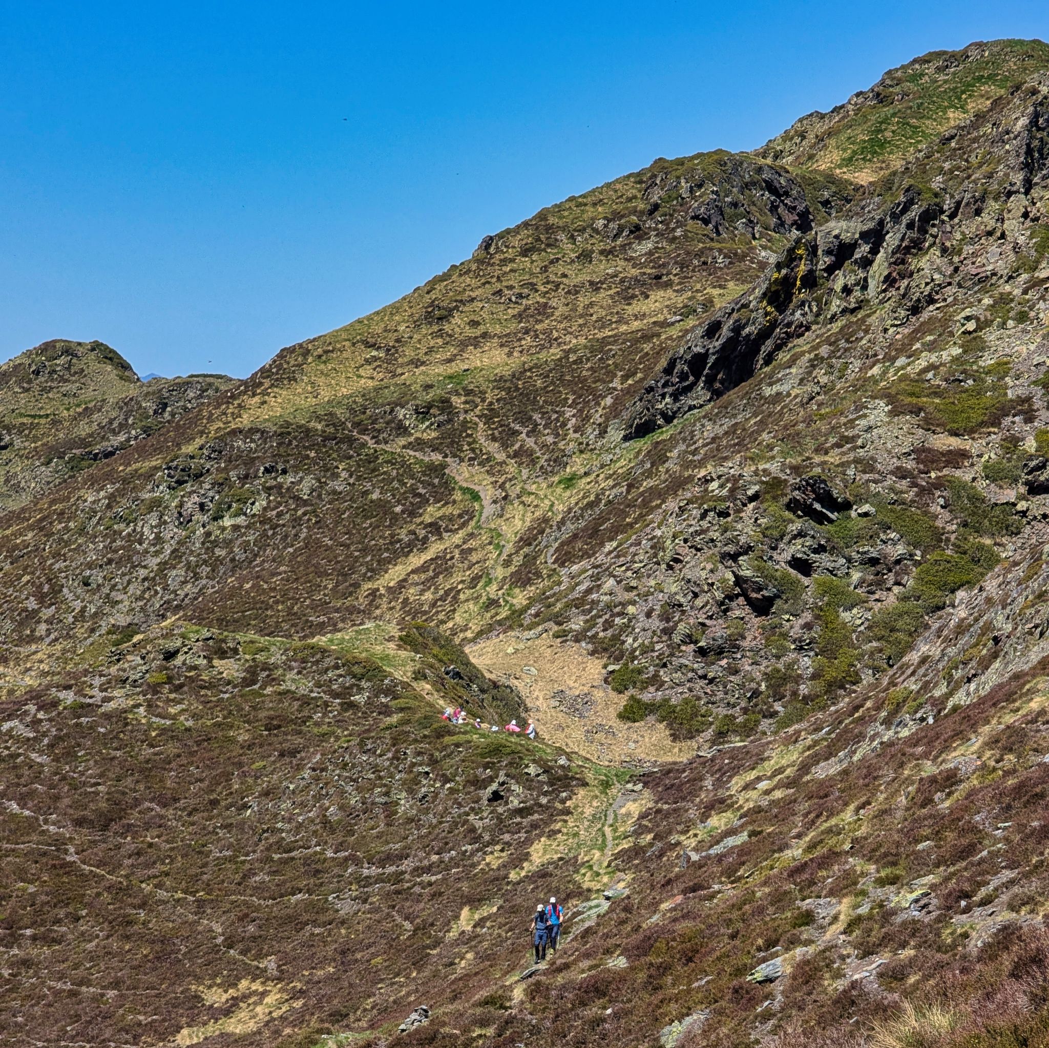 PXL 20250529 103048247