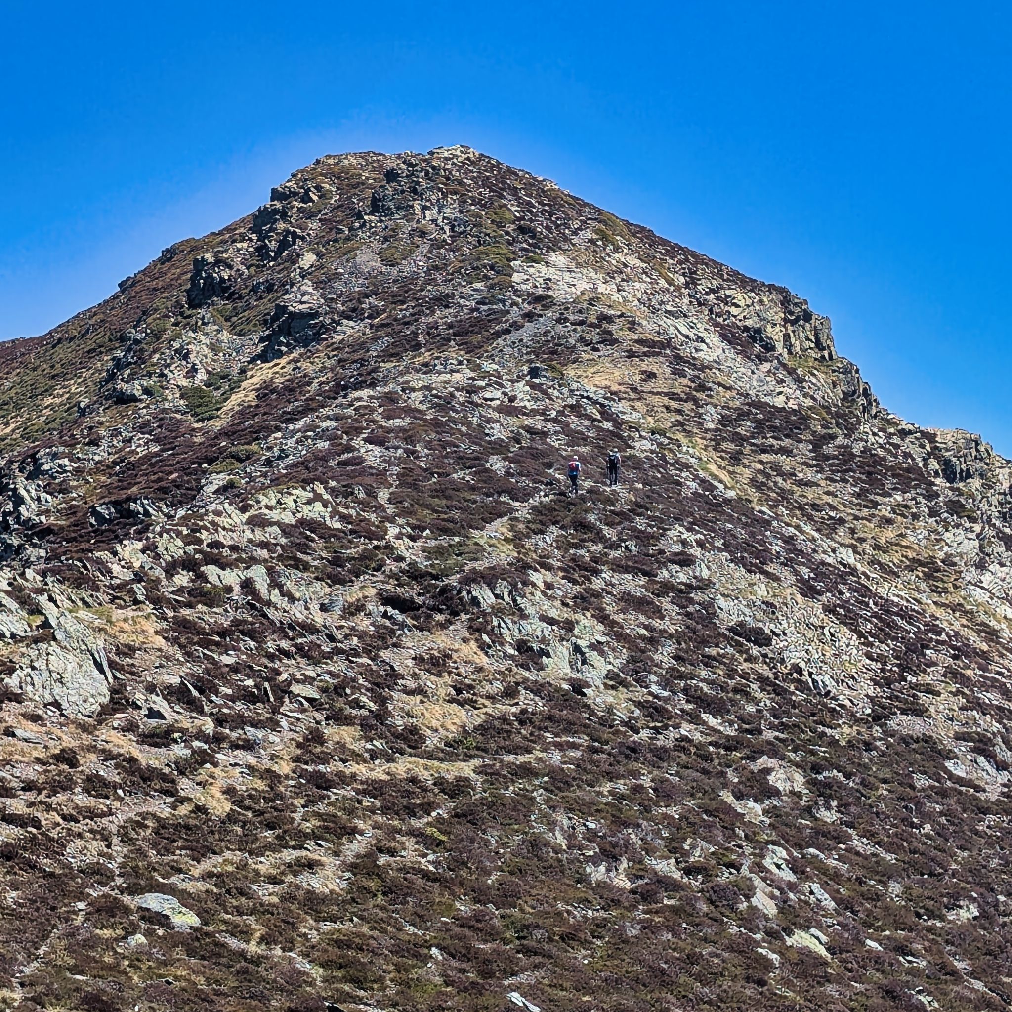 PXL 20250529 104146007