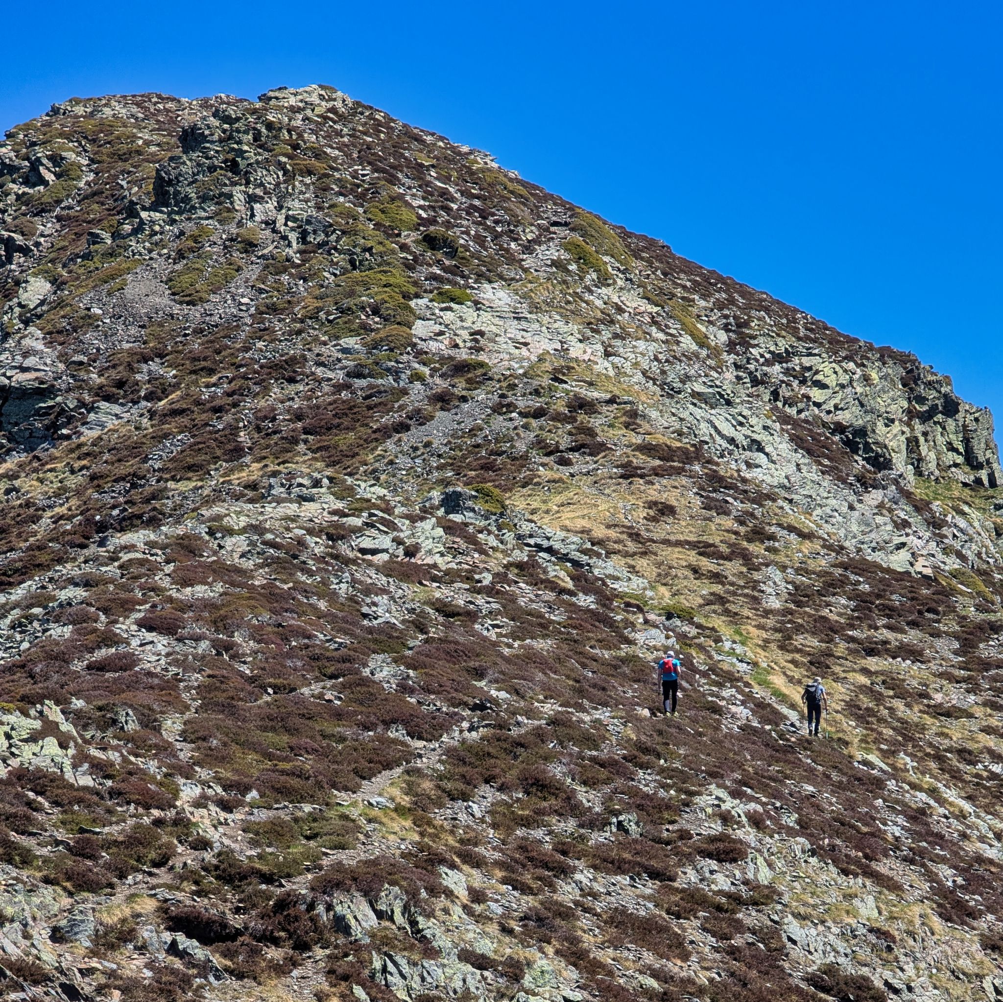 PXL 20250529 104201798