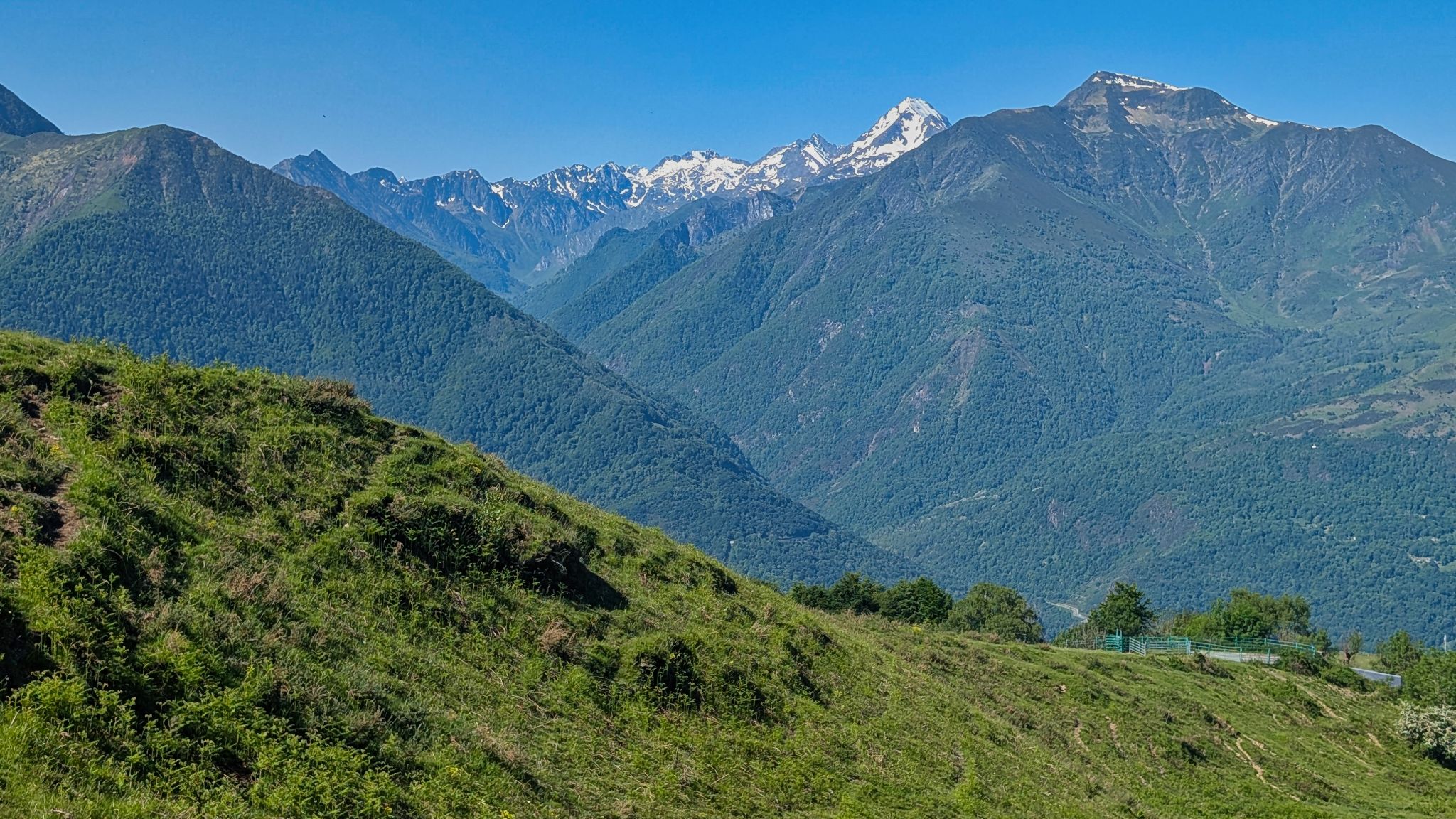 PXL 20250530 083637050