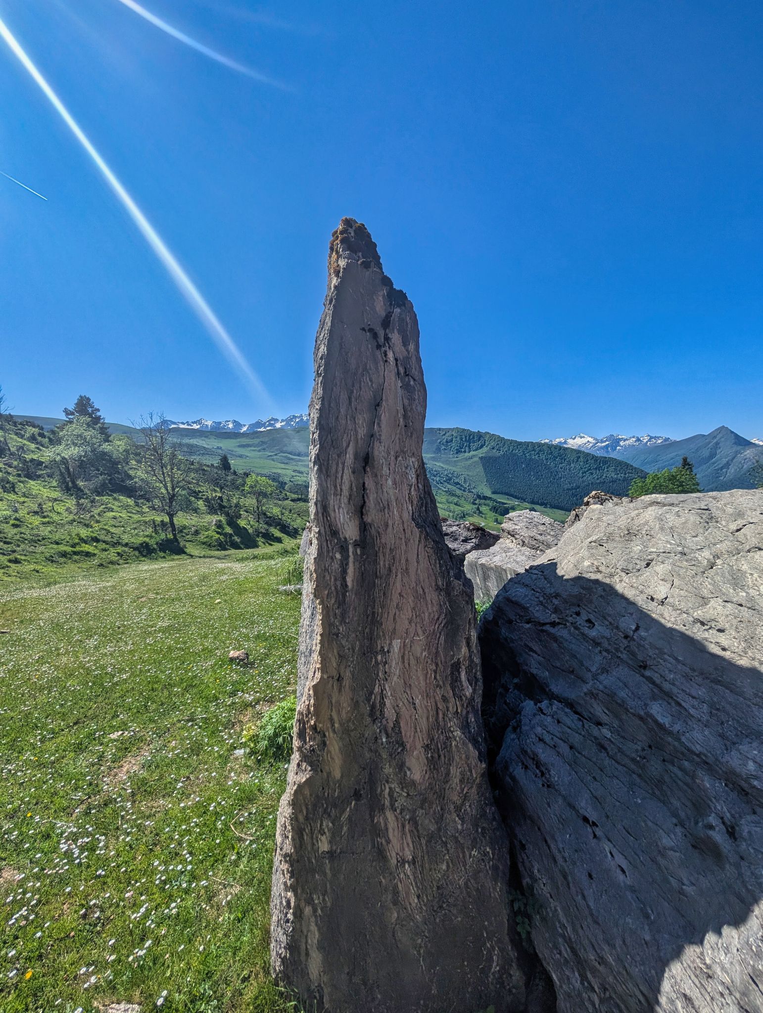 PXL 20250530 085831647