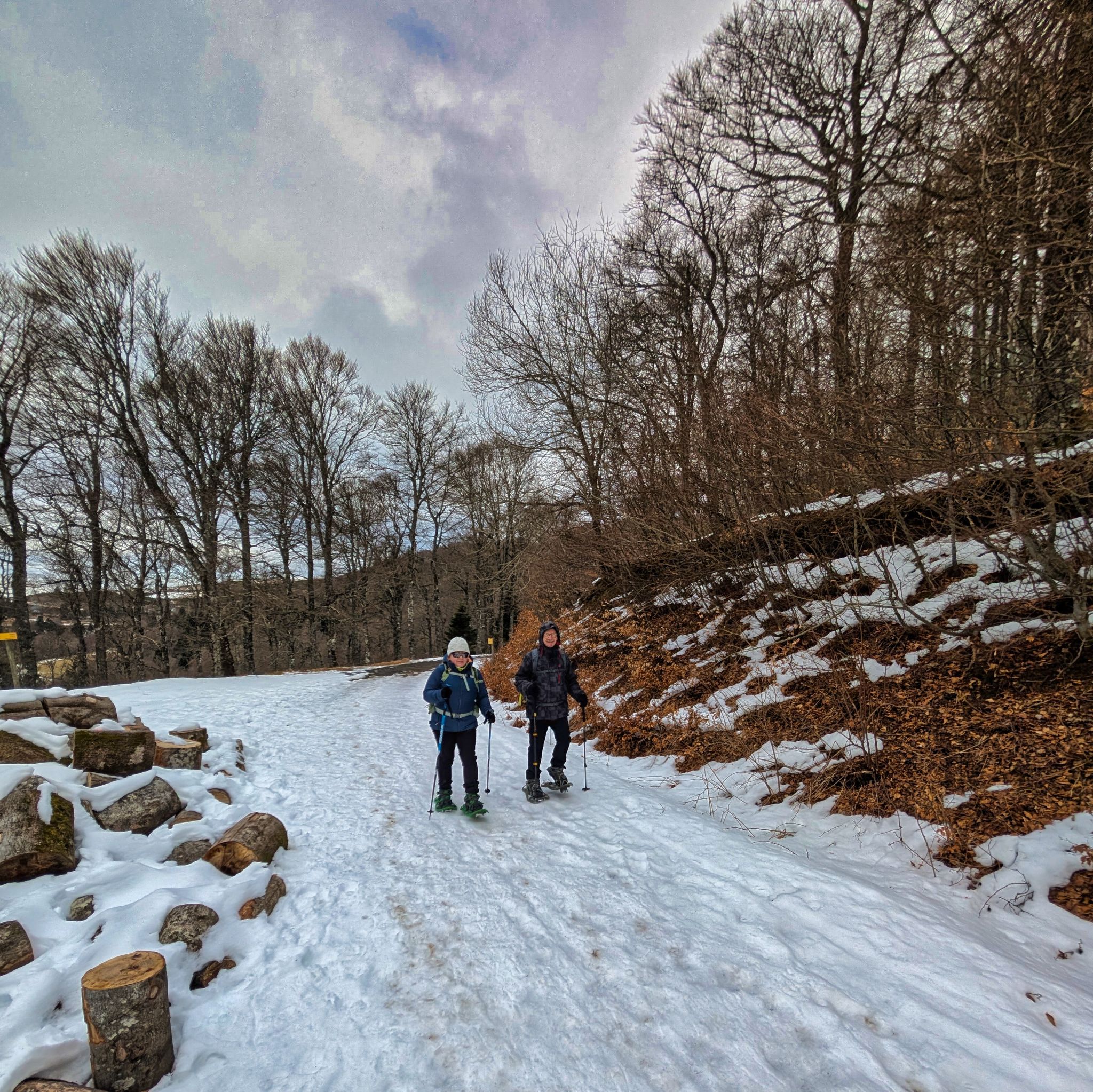 PXL 20250207 090650137