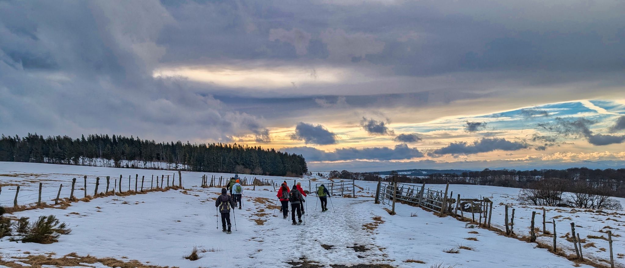 PXL 20250207 091356146