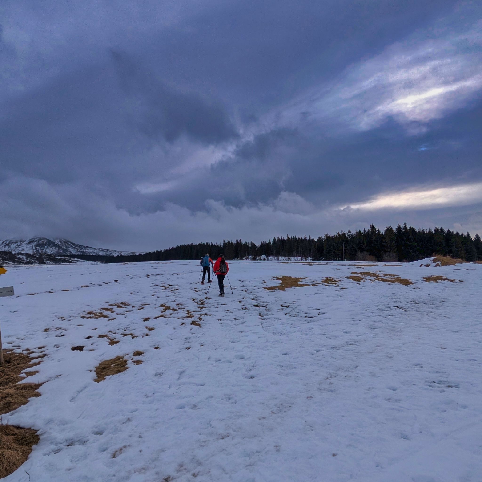 PXL 20250207 092158897