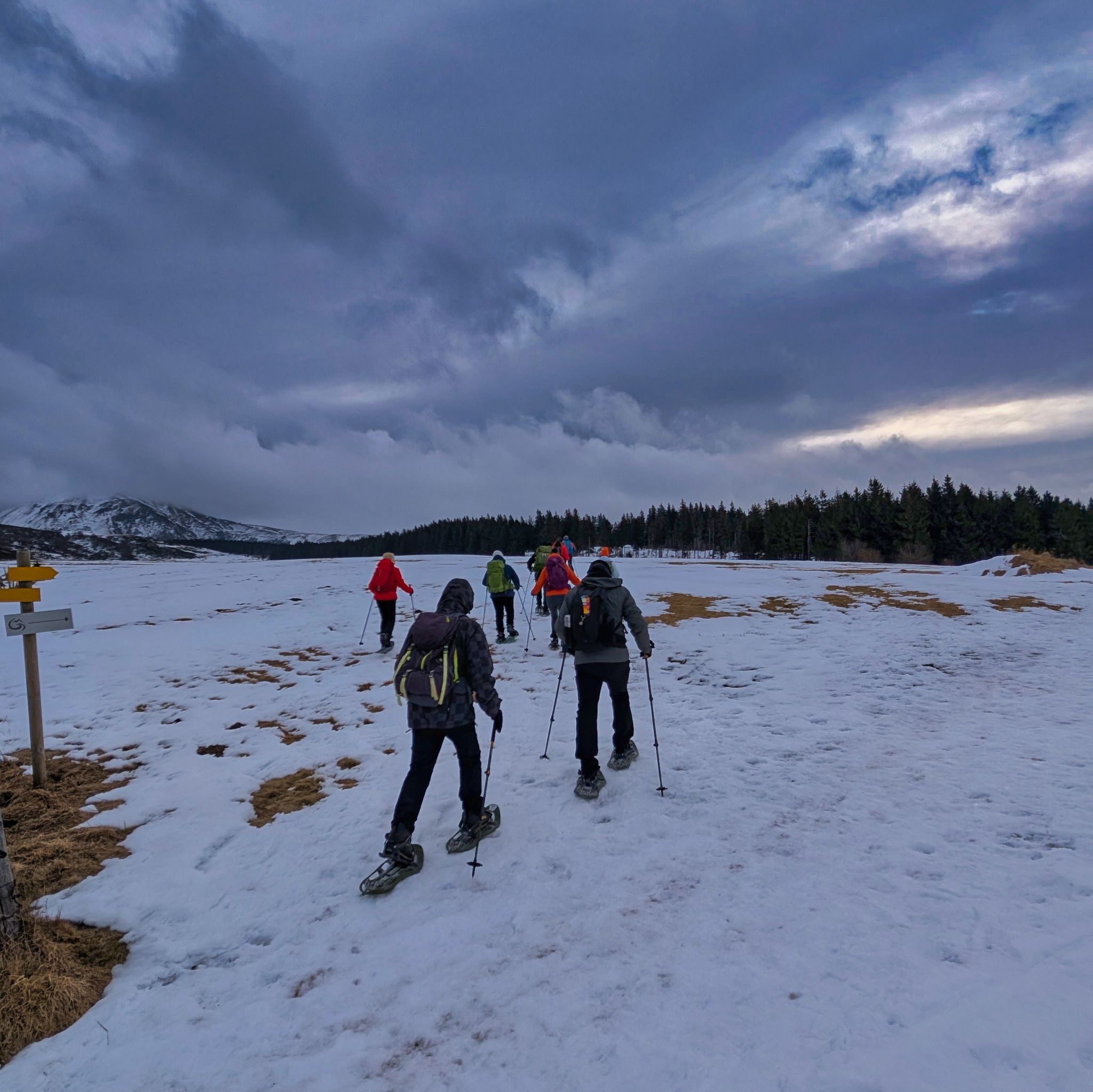 PXL 20250207 092212546