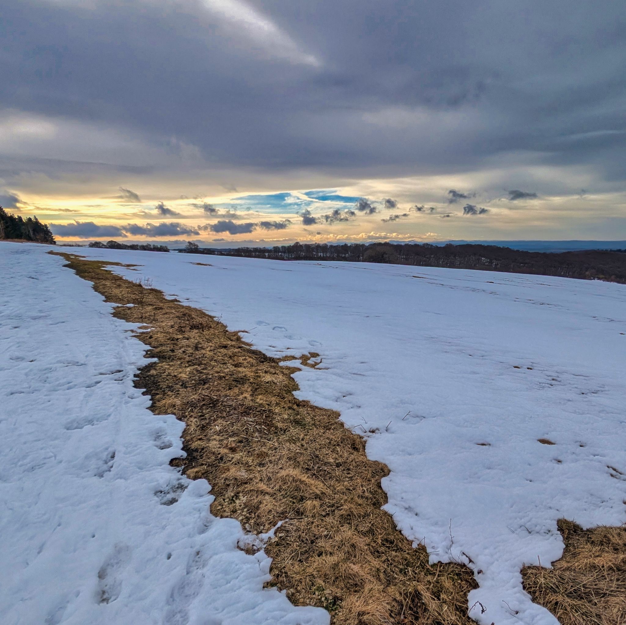 PXL 20250207 092216670