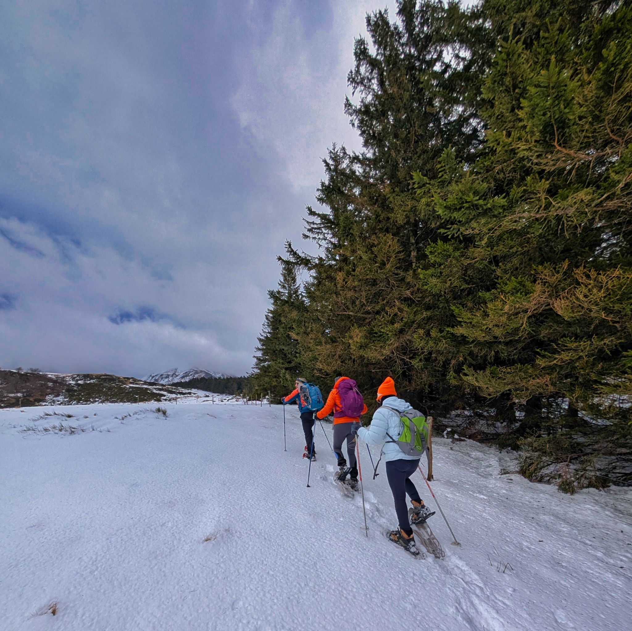 PXL 20250207 095316778