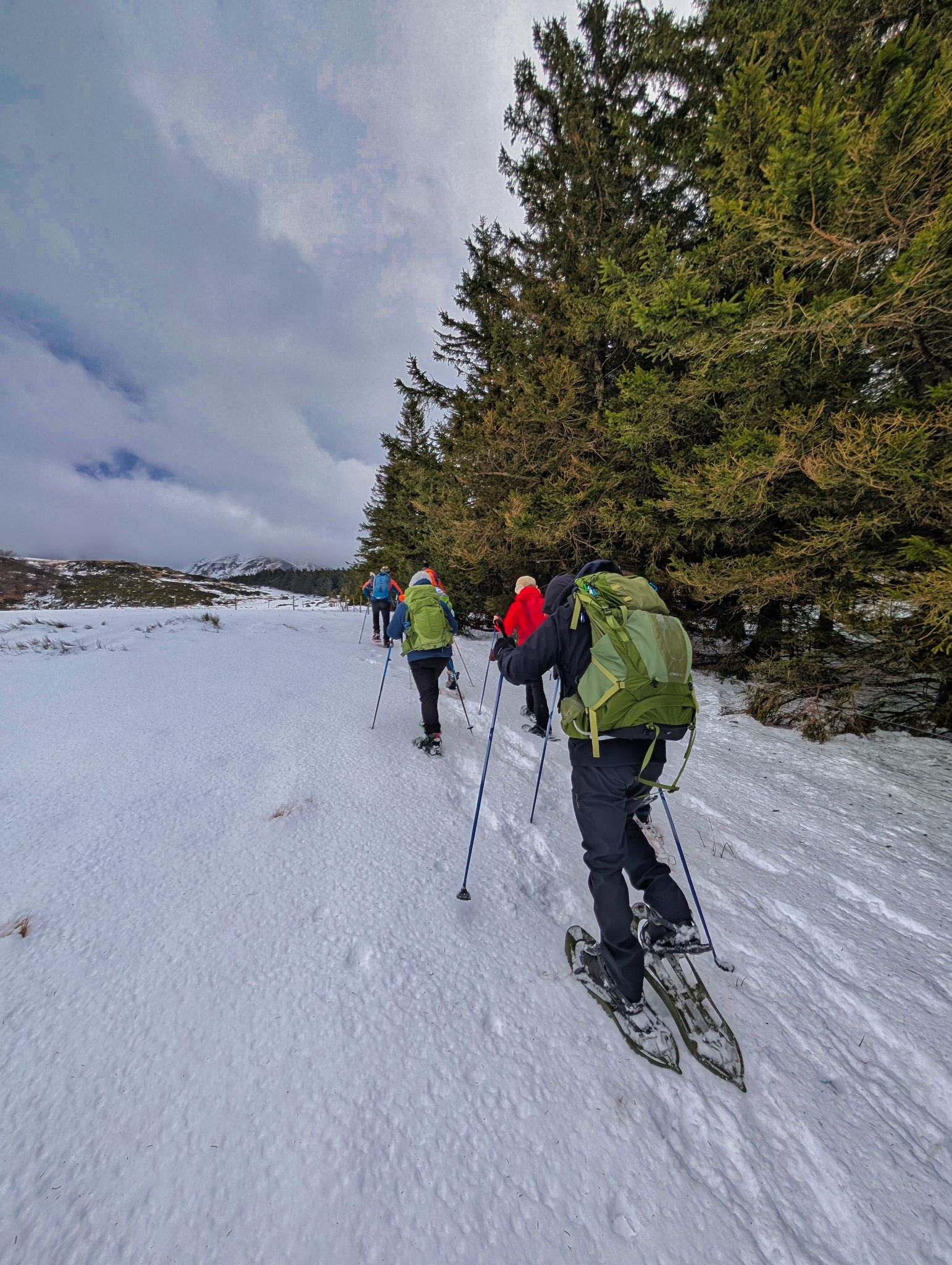 PXL 20250207 095323907.MP