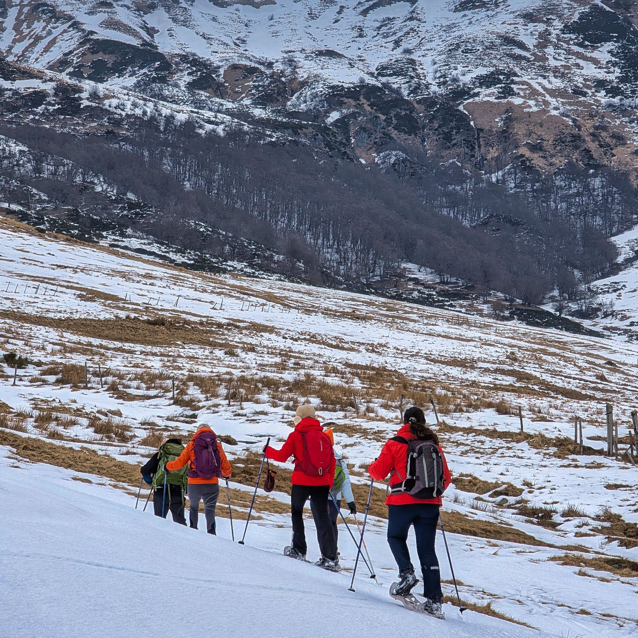 PXL 20250207 101636388