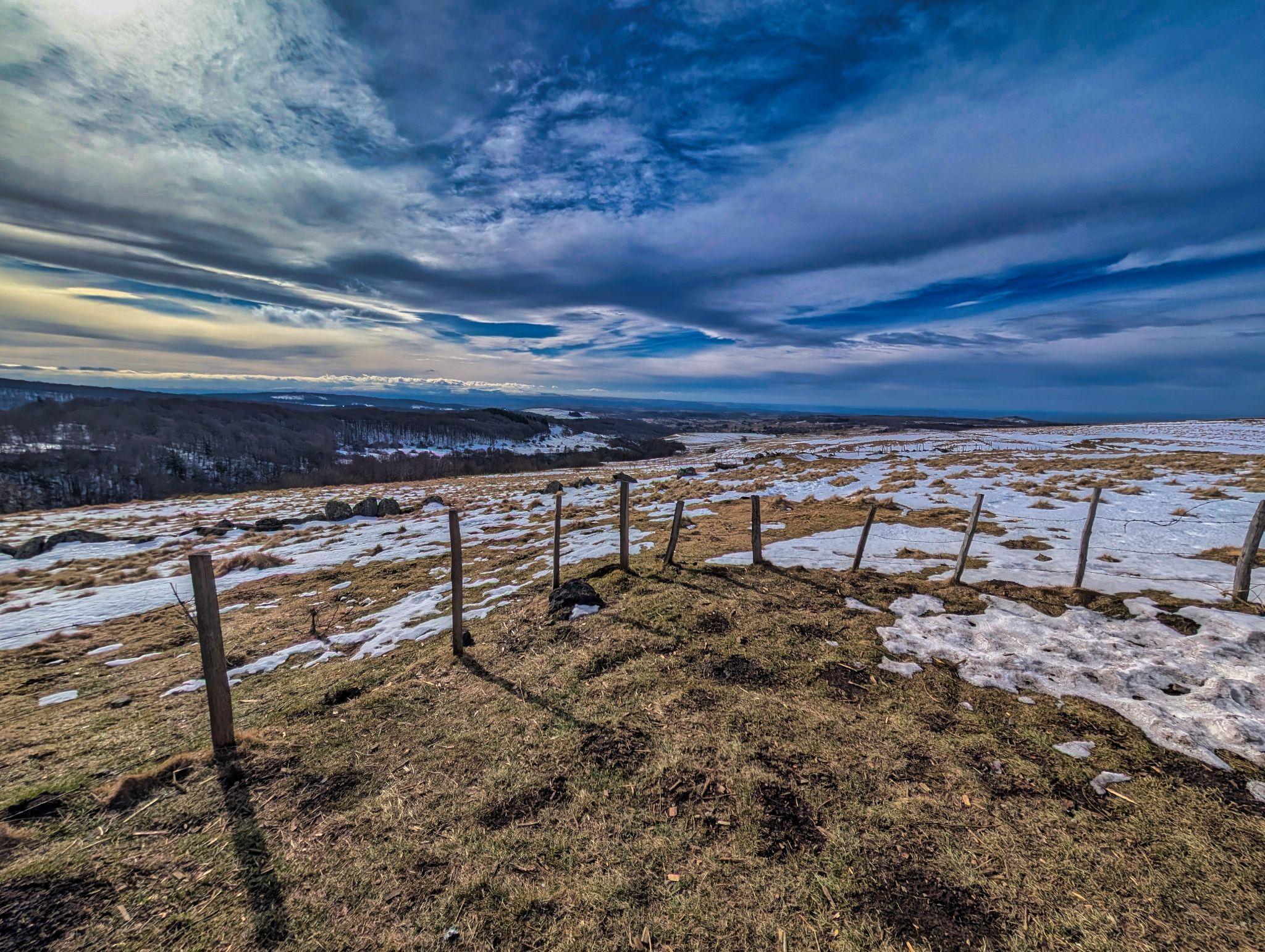 PXL 20250207 112227064