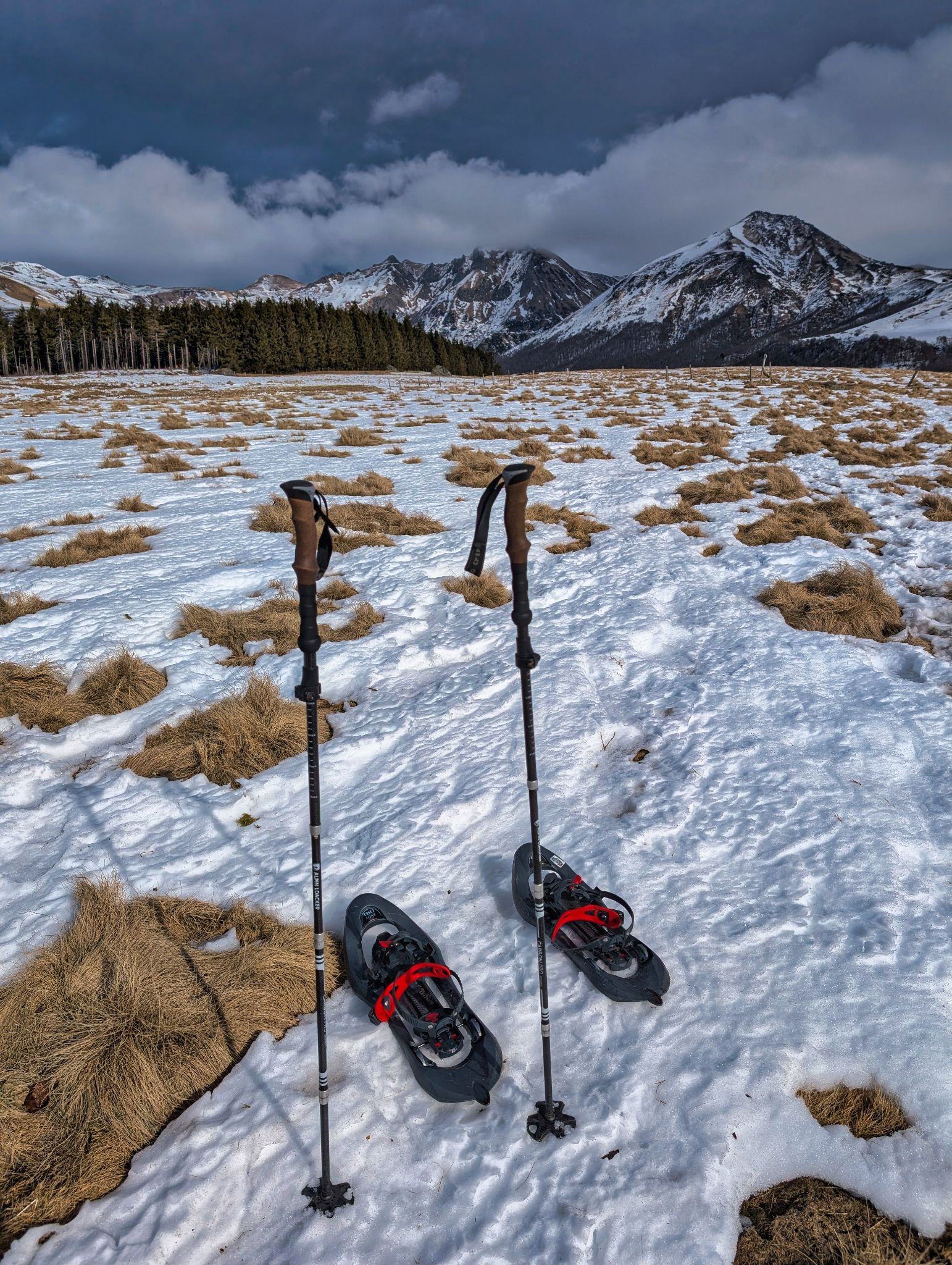 PXL 20250207 121132061