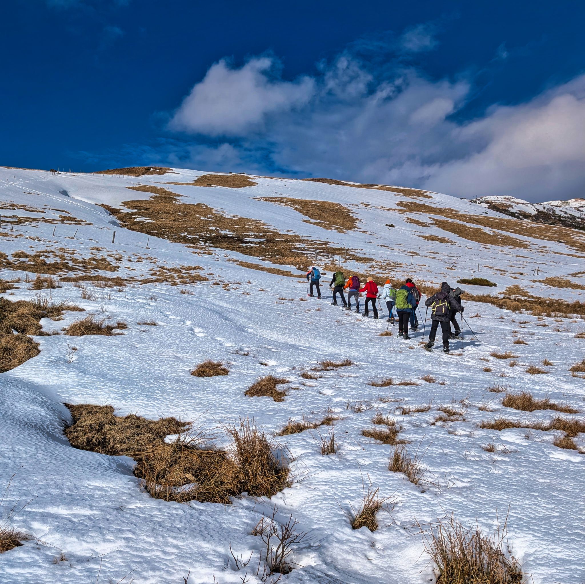 PXL 20250207 130335211