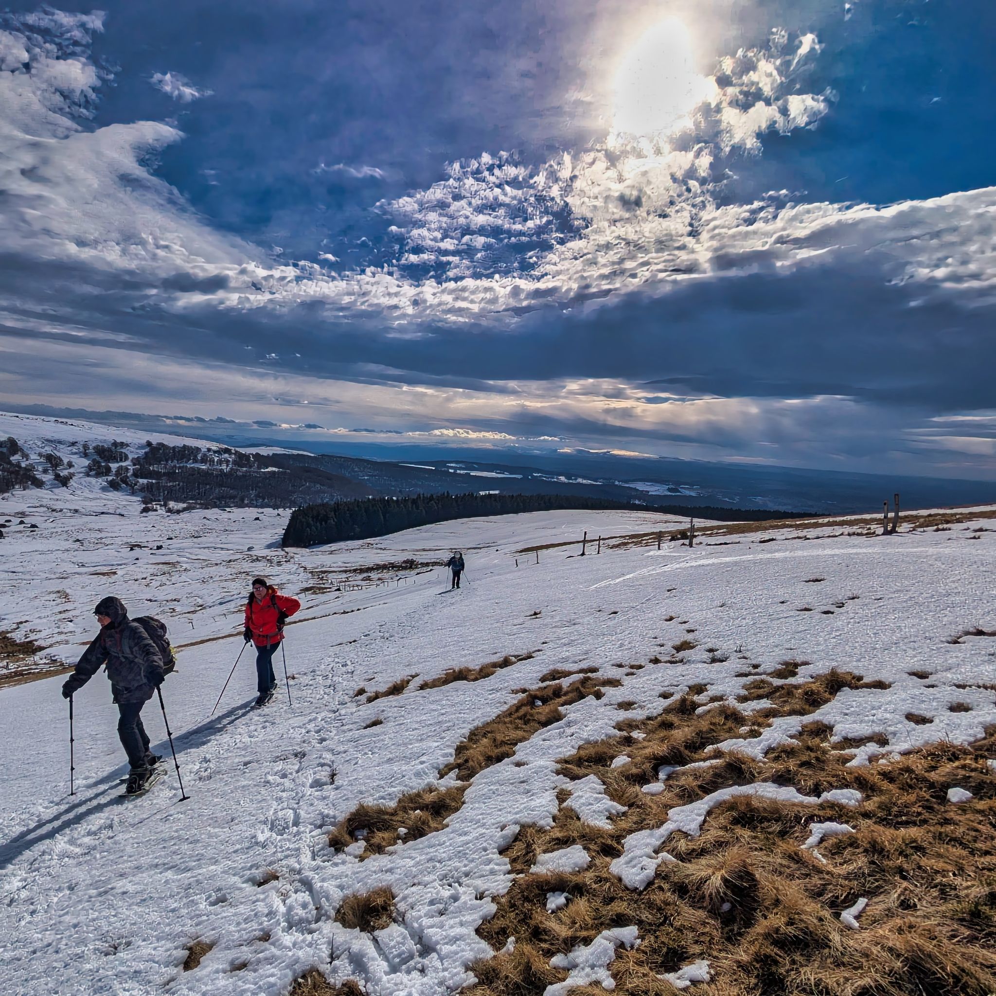 PXL 20250207 130903984