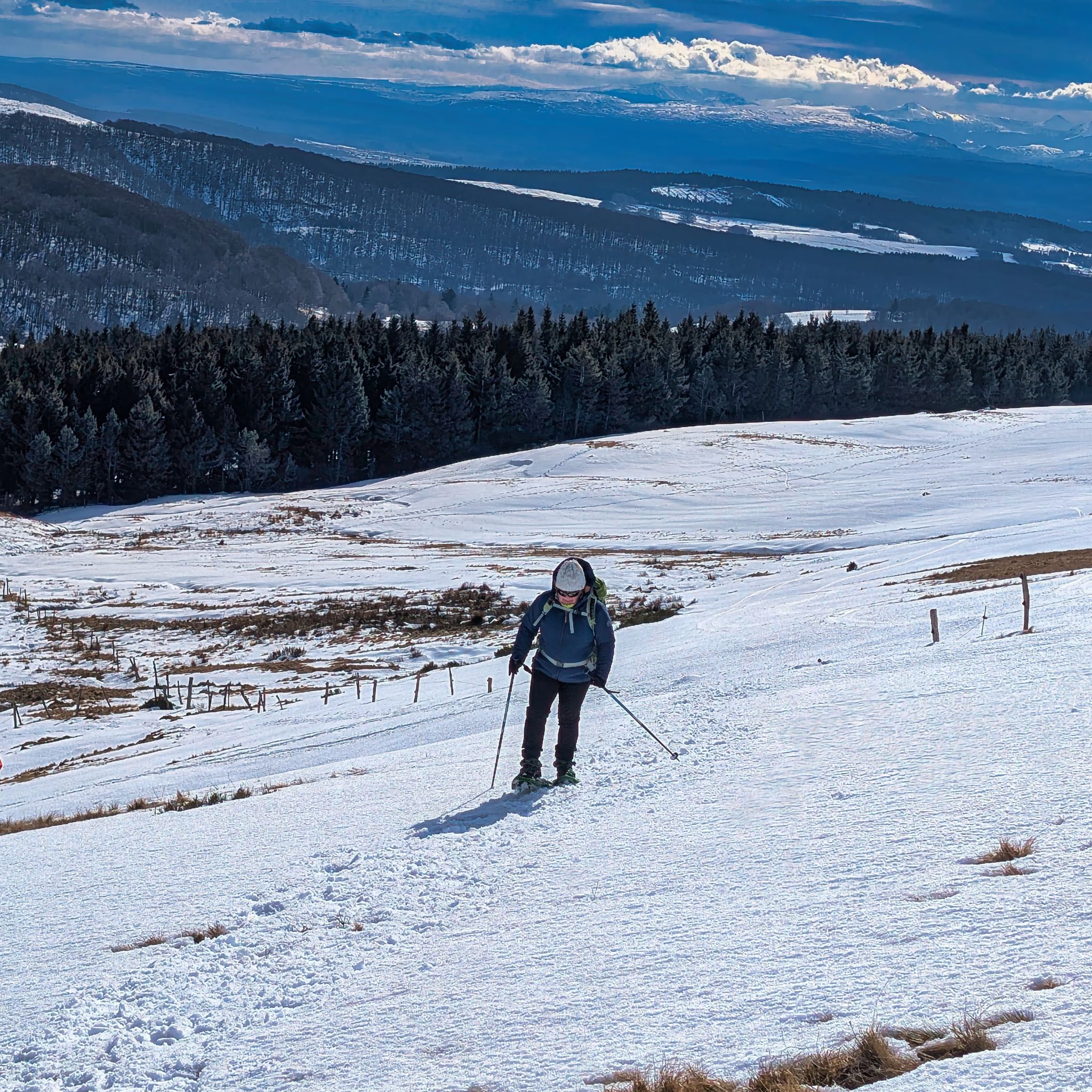 PXL 20250207 130913193