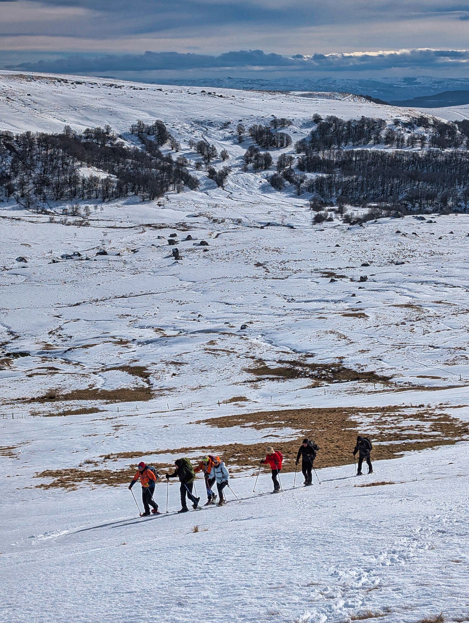 PXL 20250207 131242407