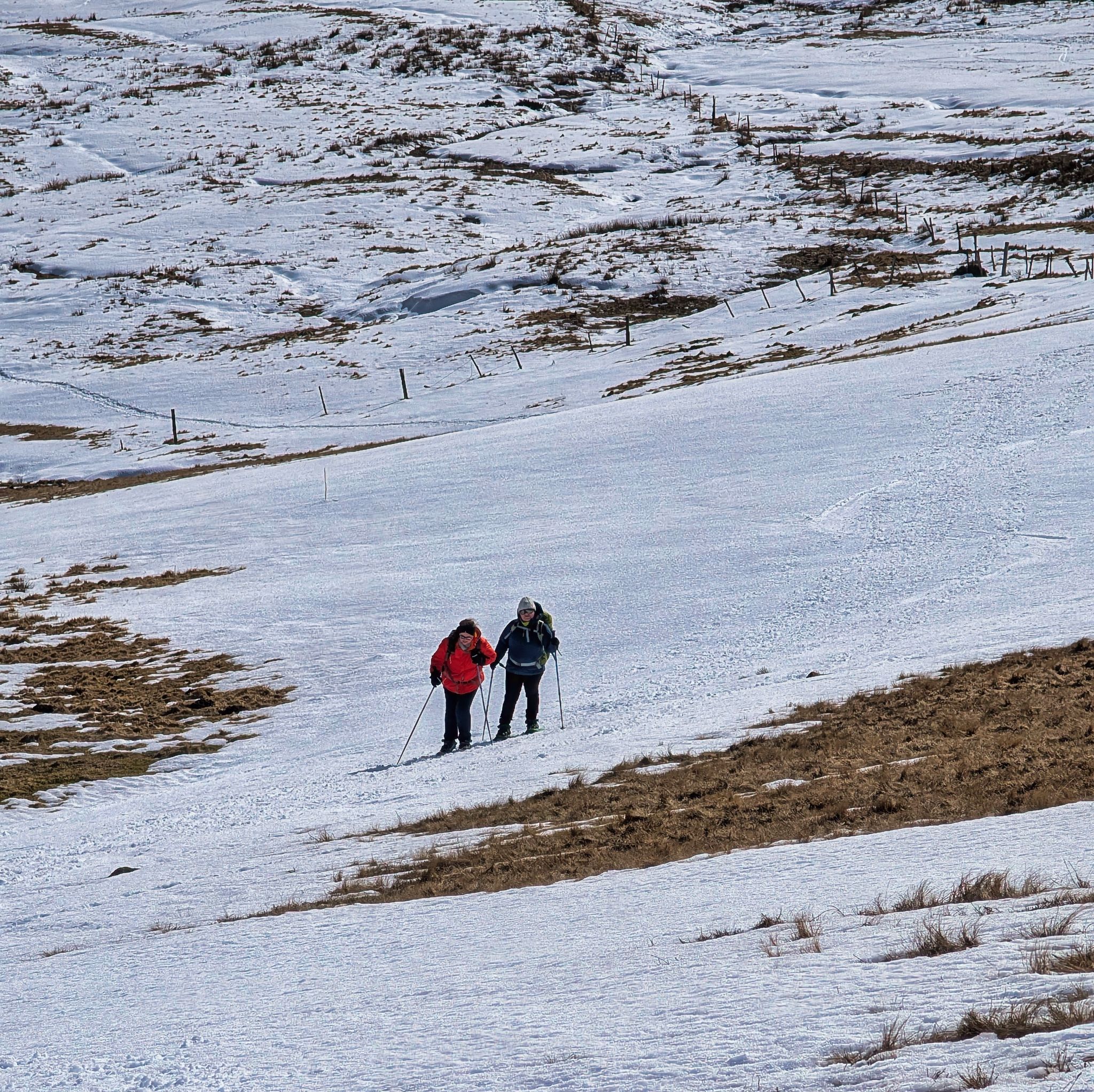 PXL 20250207 131311505