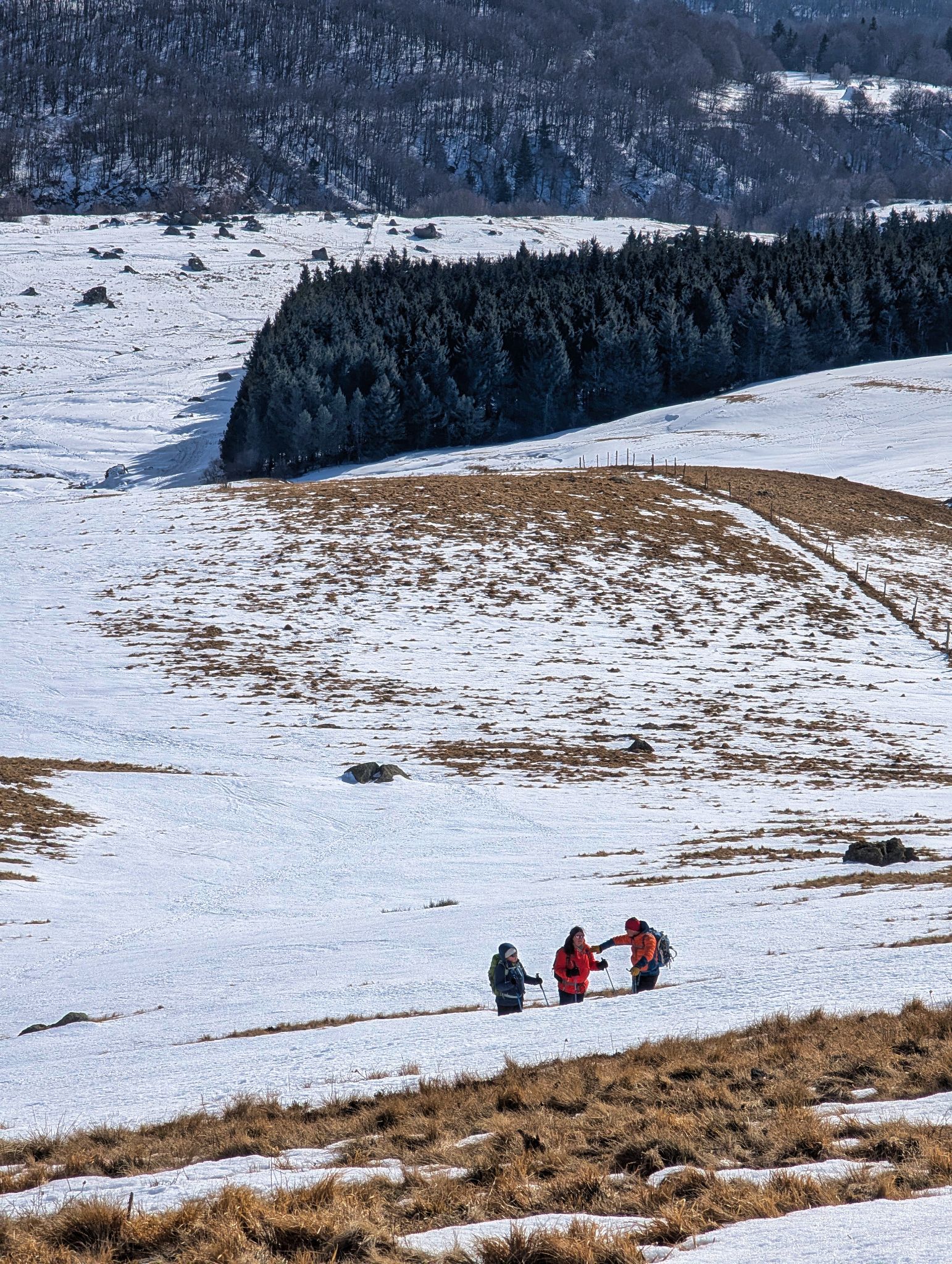 PXL 20250207 133333027