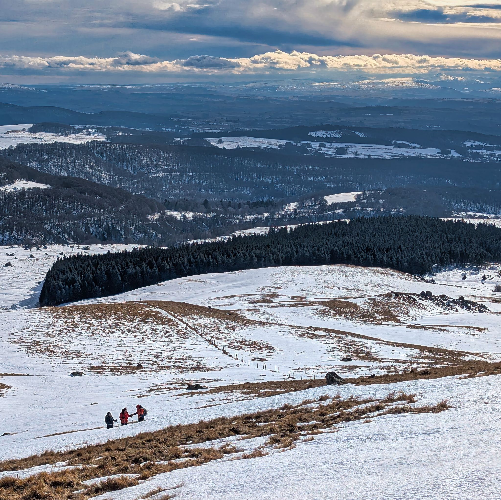 PXL 20250207 133337757