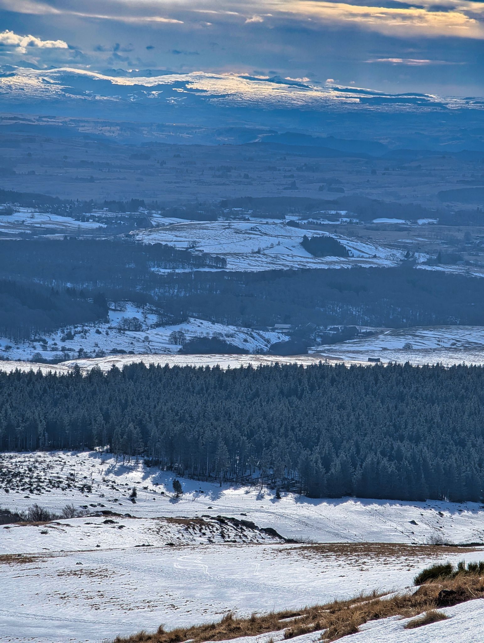 PXL 20250207 133418949