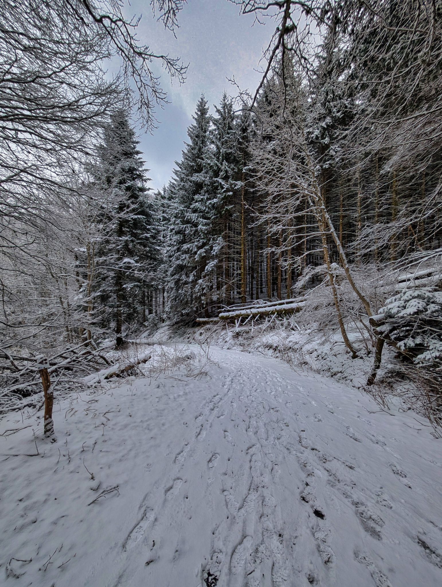 PXL 20250208 085430635