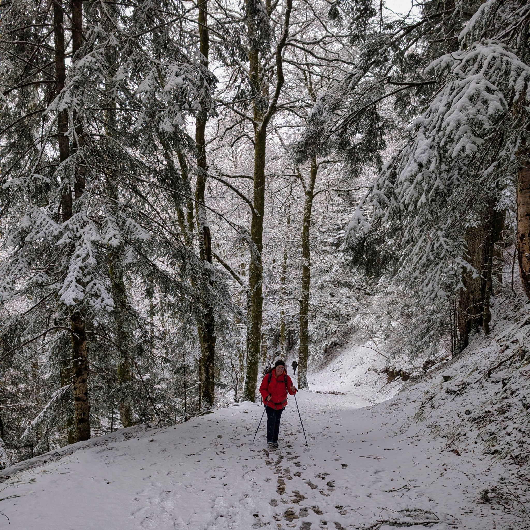 PXL 20250208 091712687.MP