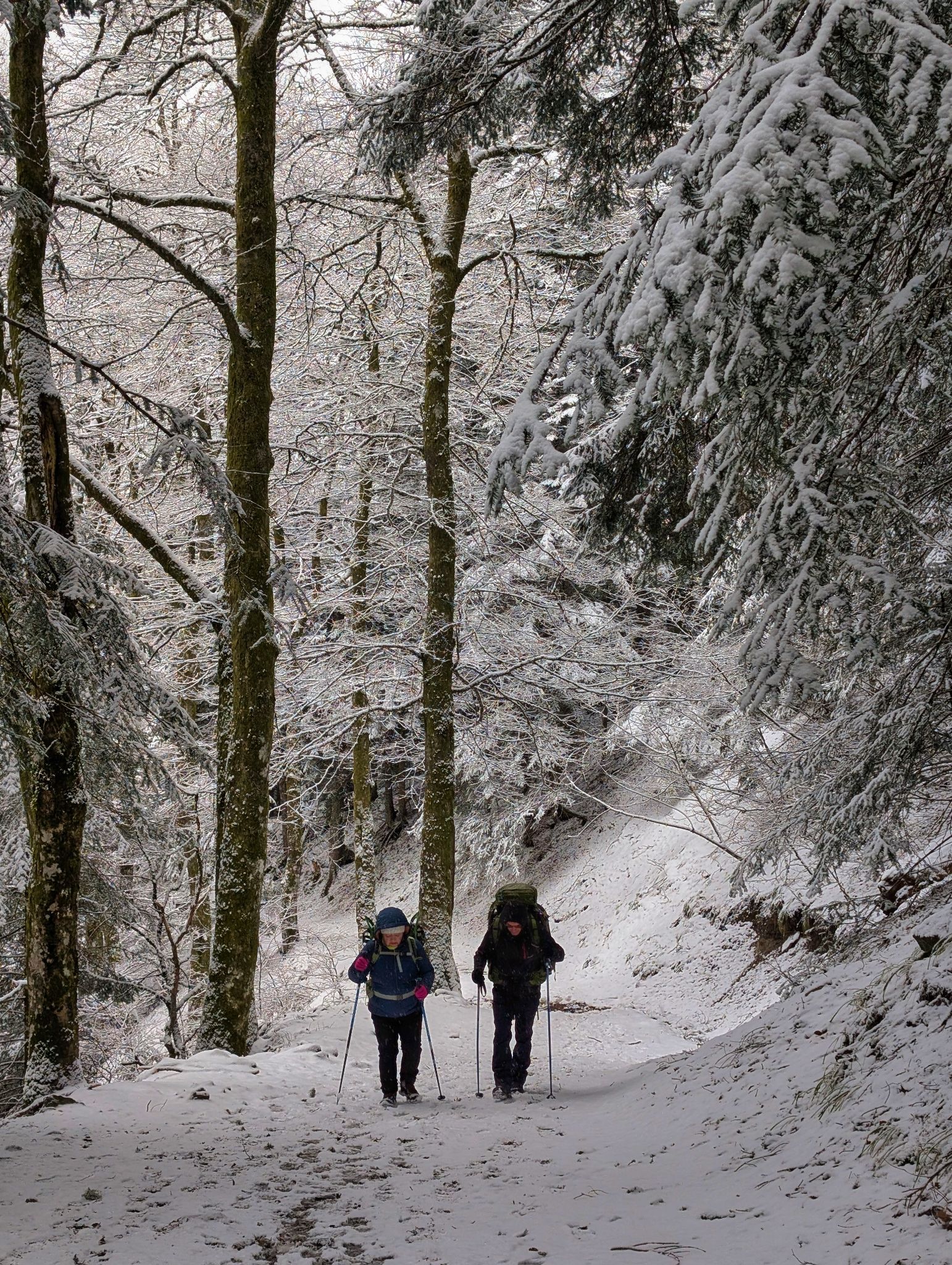 PXL 20250208 091808274