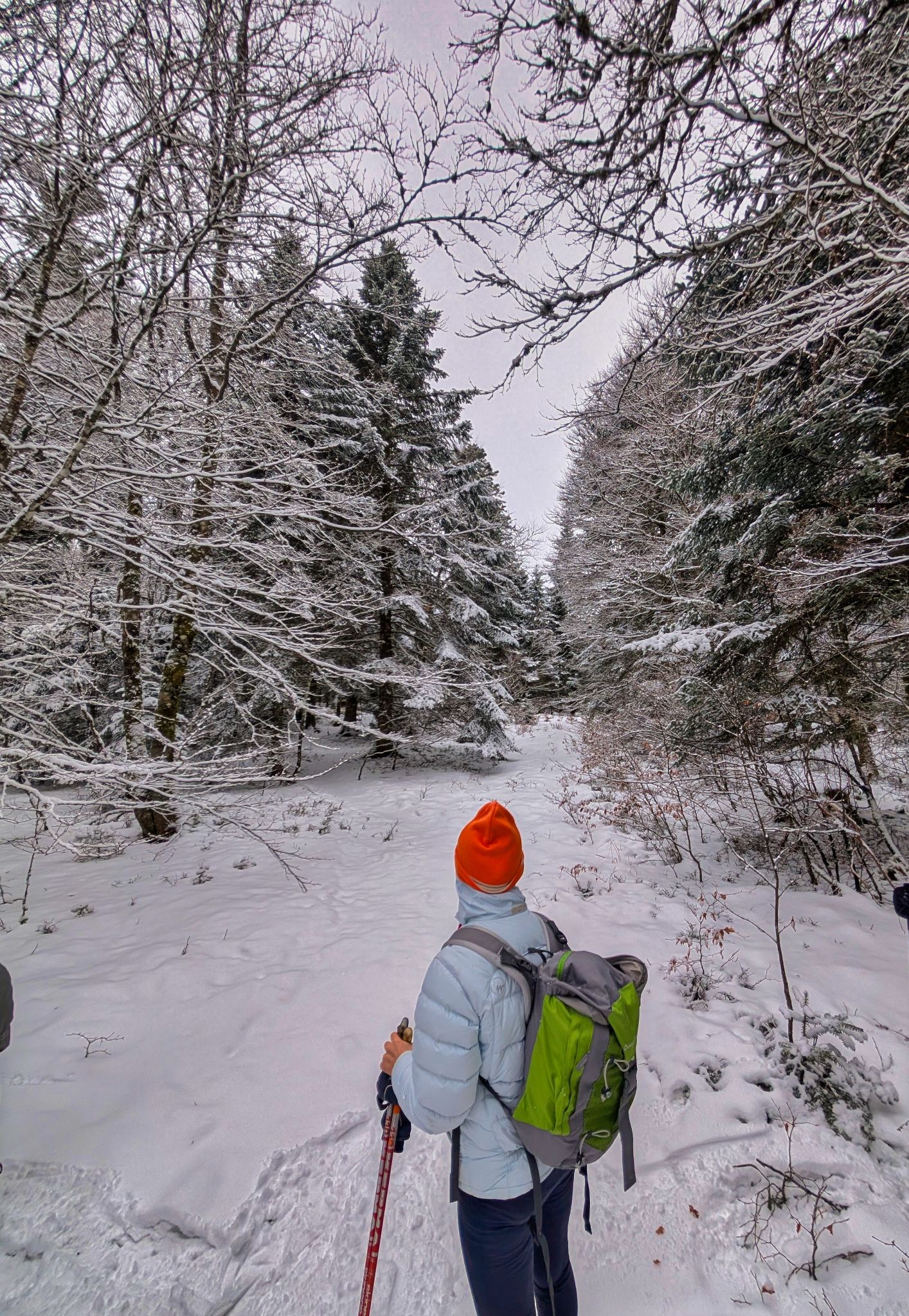 PXL 20250208 100625129