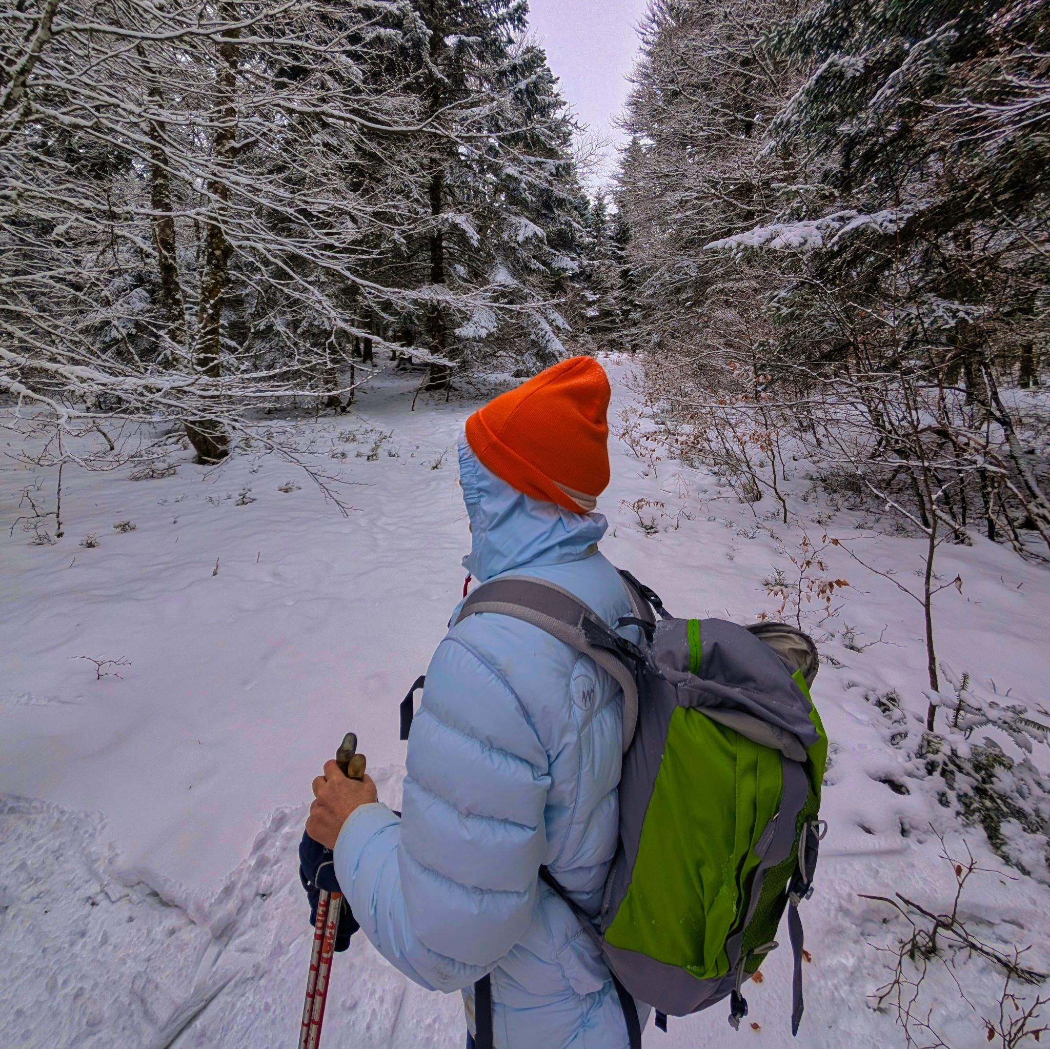 PXL 20250208 100630275