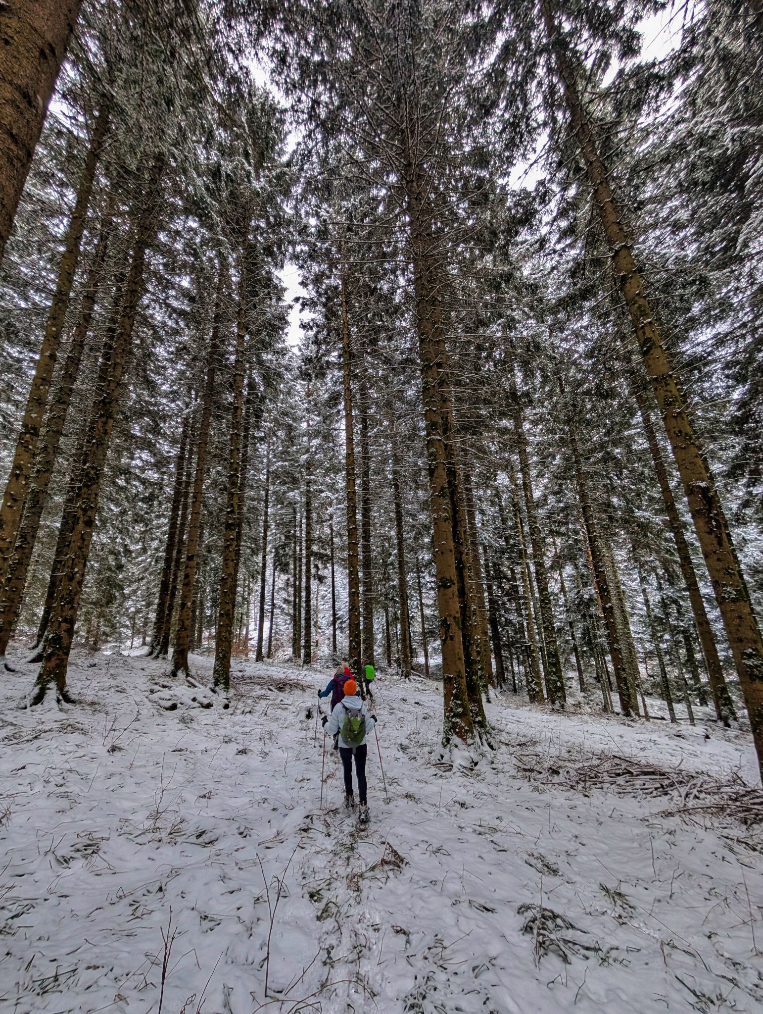 PXL 20250208 112754673