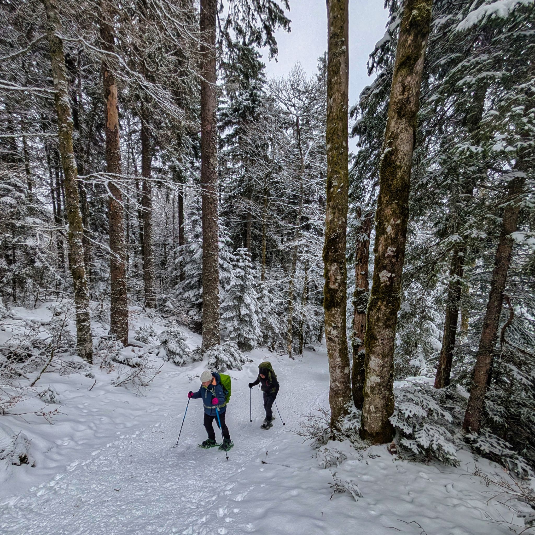 PXL 20250208 114223375