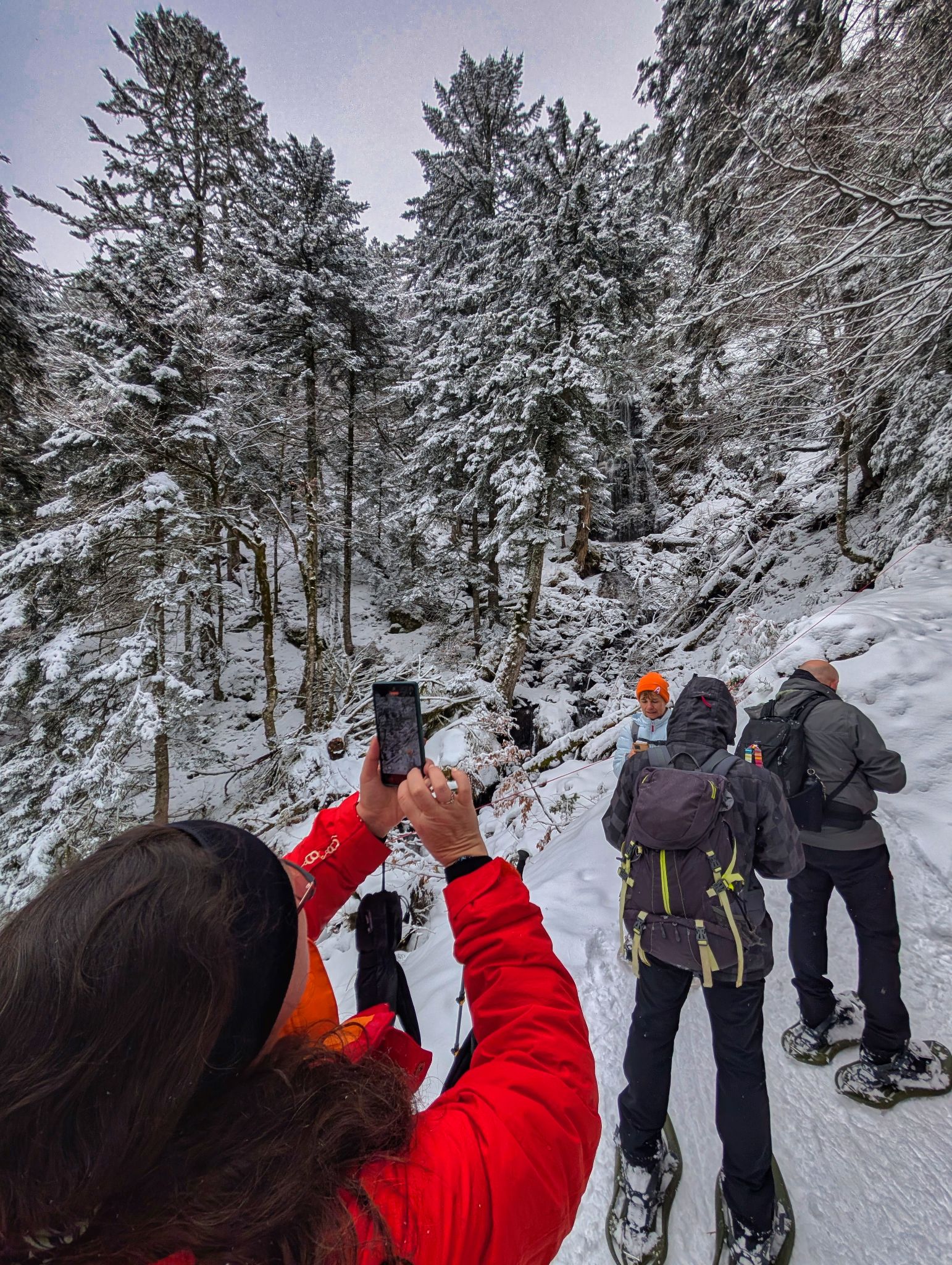 PXL 20250208 114230265