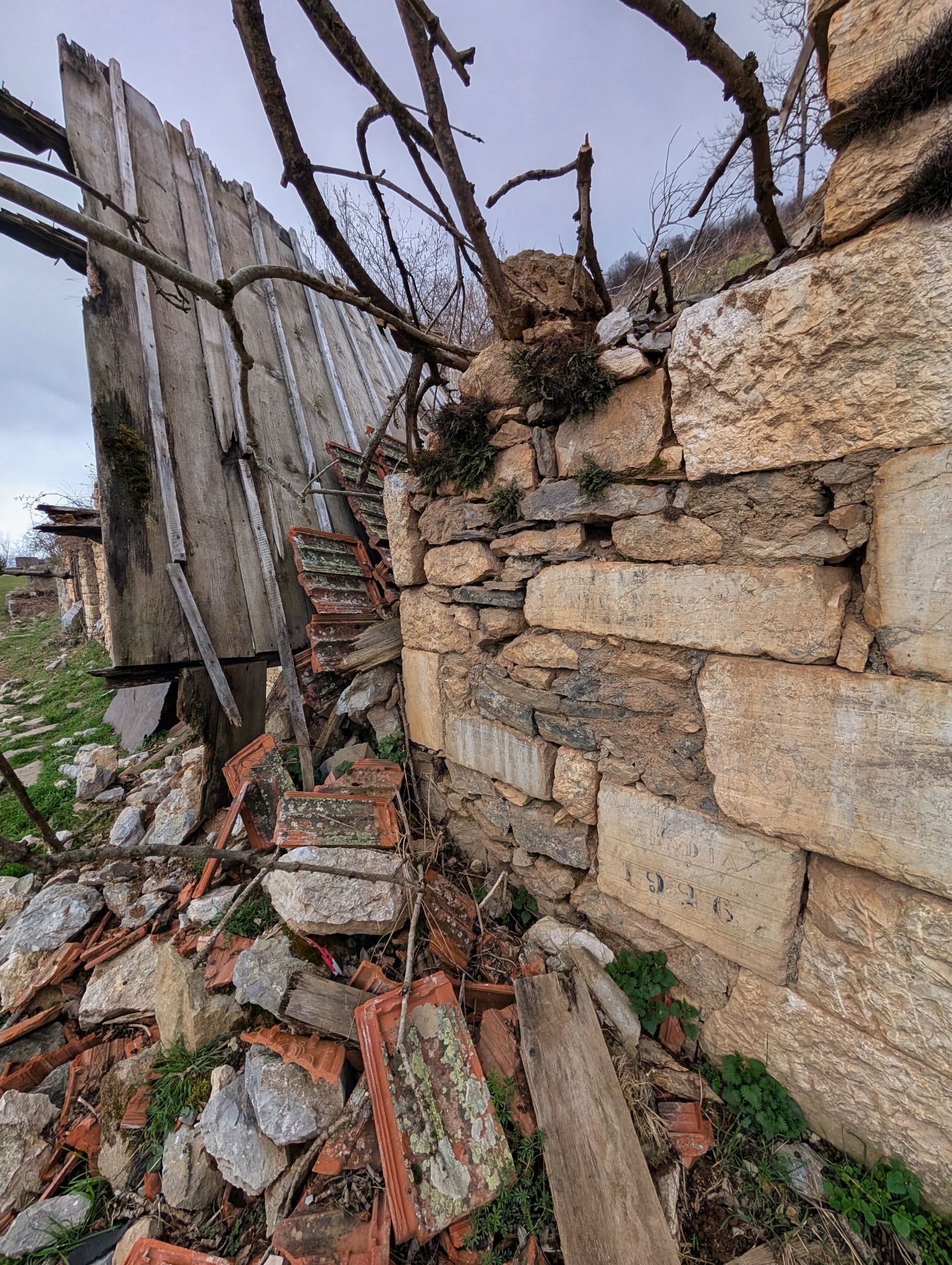 PXL 20260308 124904727