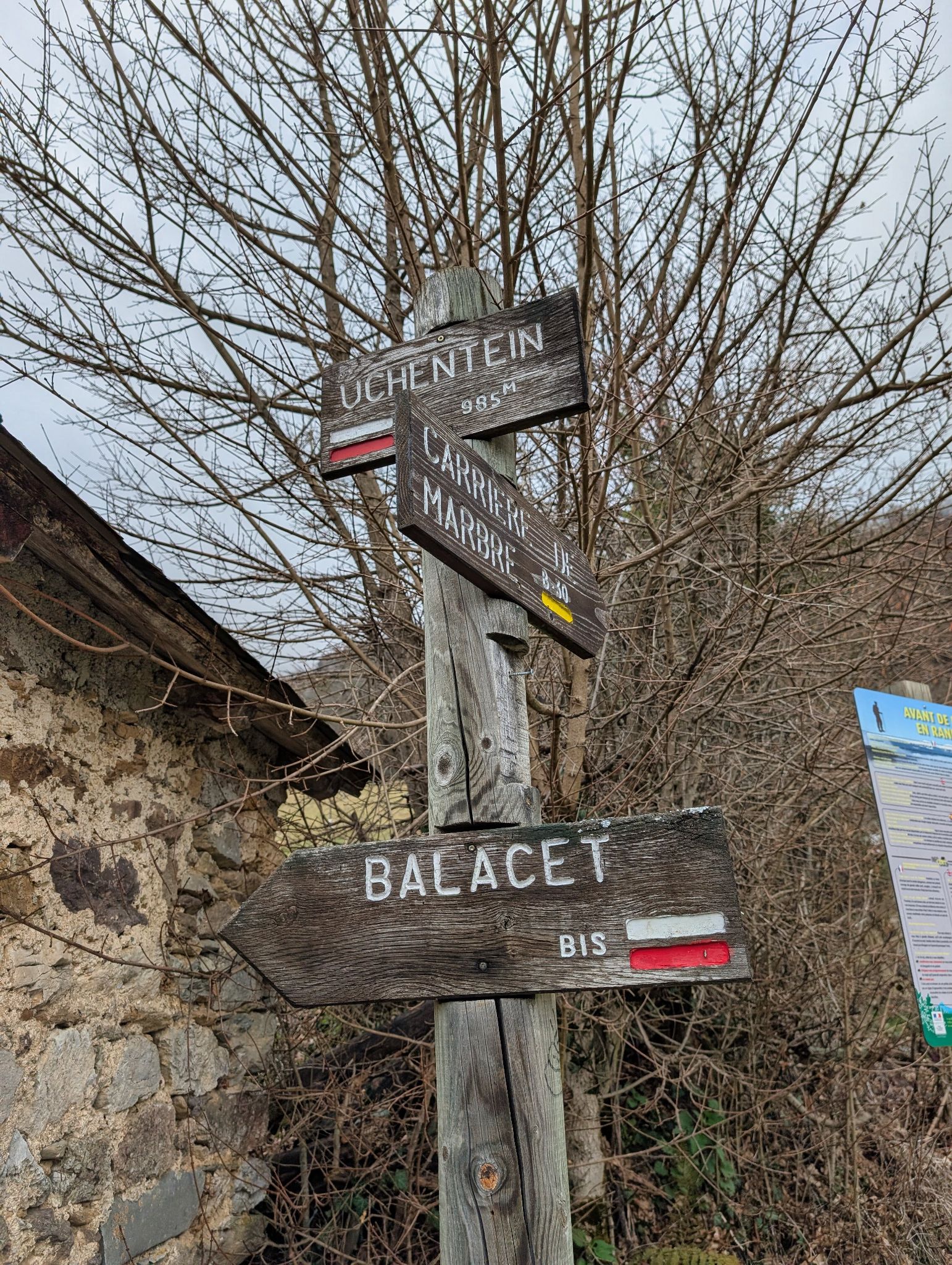 PXL 20260308 153503261