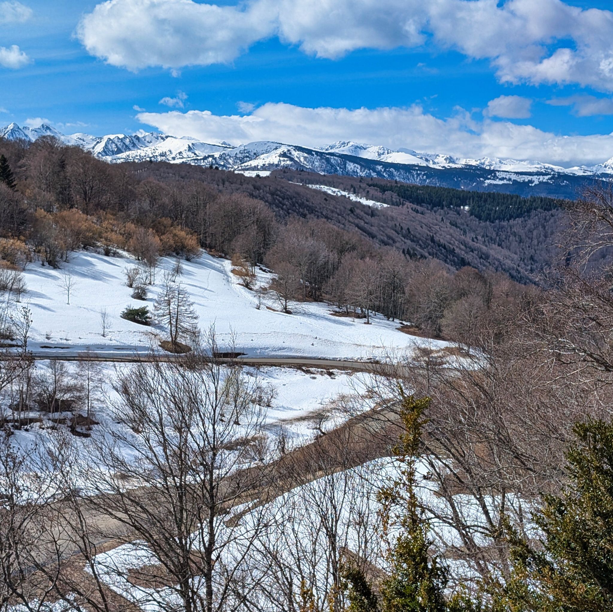 PXL 20260309 104833699