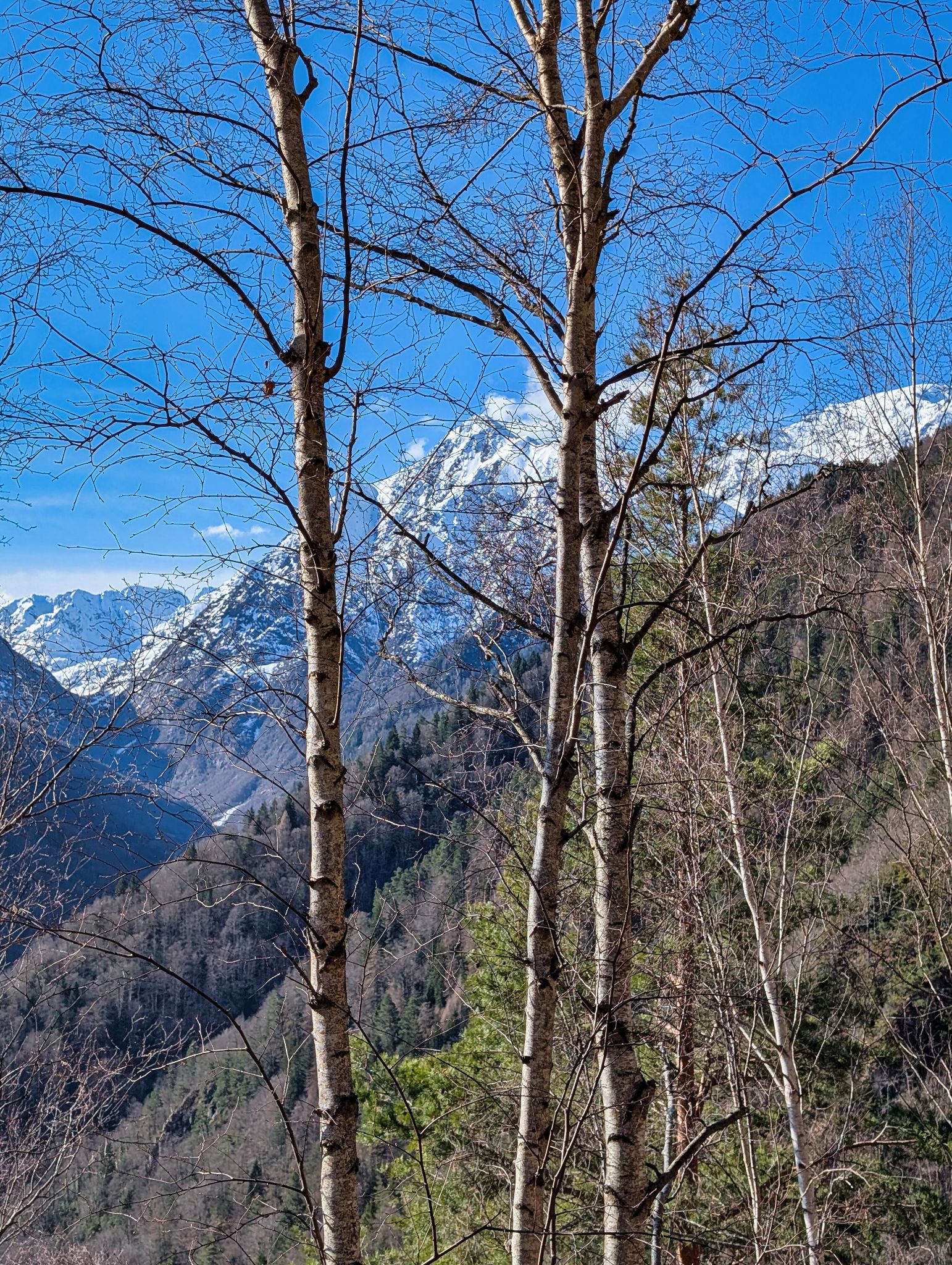 PXL 20260310 090030778