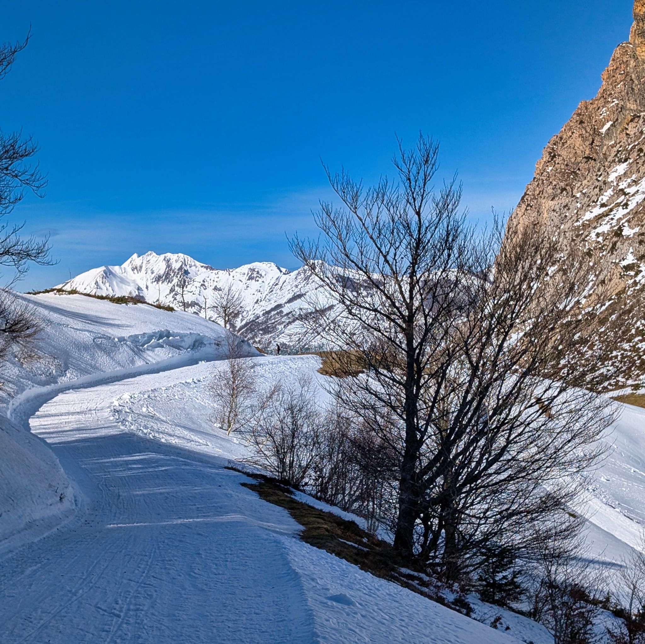 PXL 20260218 110355916.MP