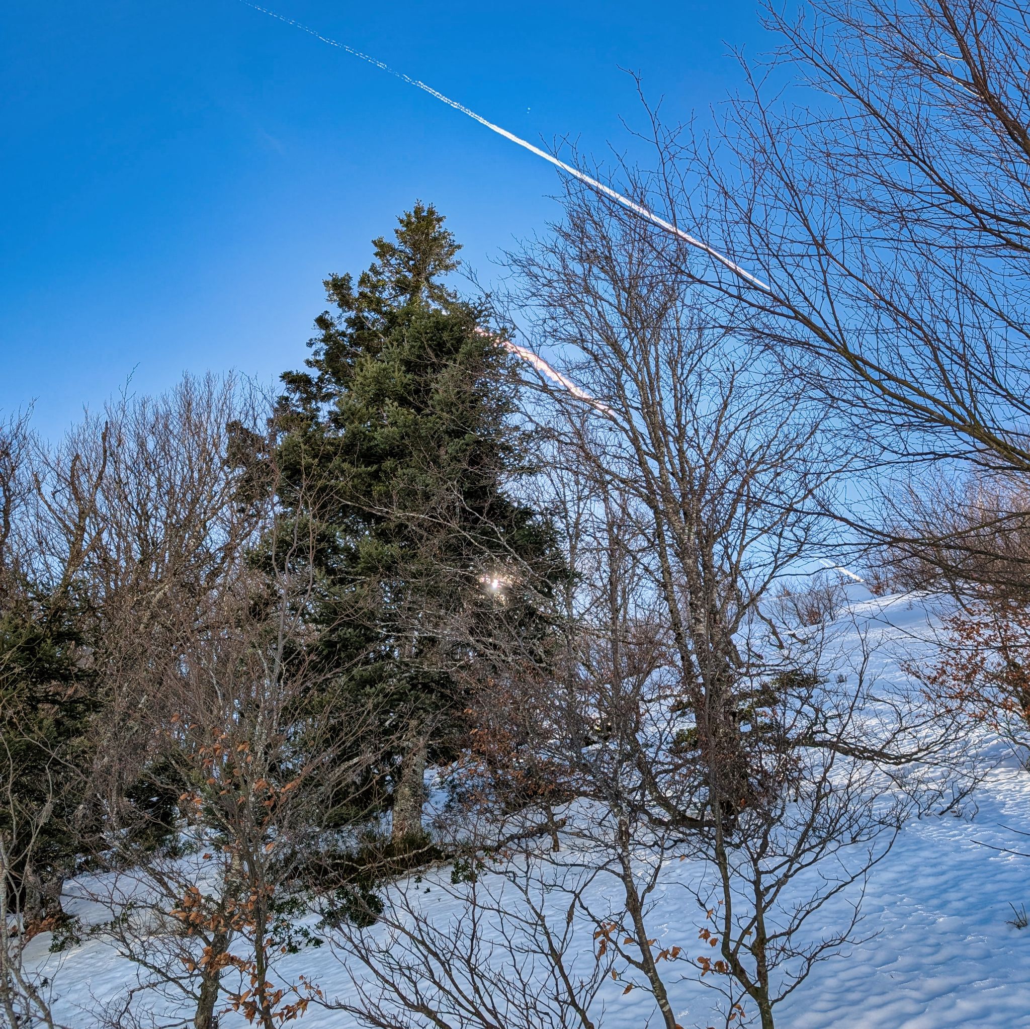 PXL 20260218 110619667